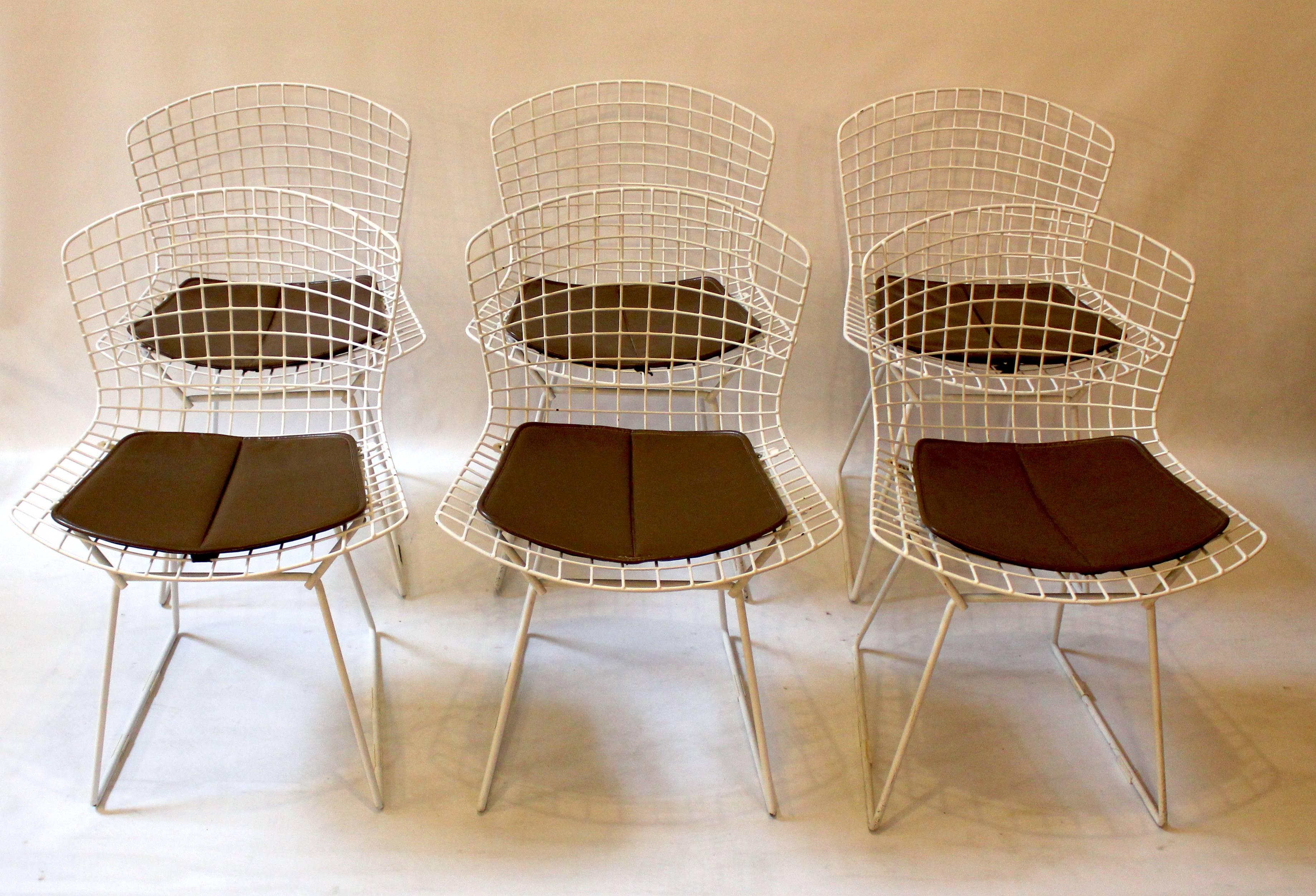 Set of six 1960s wire mesh side chairs by Harry Bertoia for Knoll. Chairs have their original seat pads and most have their original slides. Price is for the set.