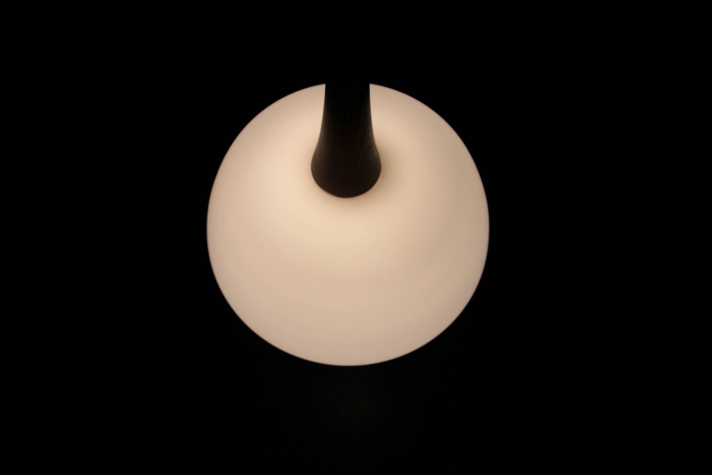 Scandinavian Midcentury Ceiling Light, 1960s 3