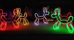 Deep Orange Neon Dog by Deepa Mann-Kler