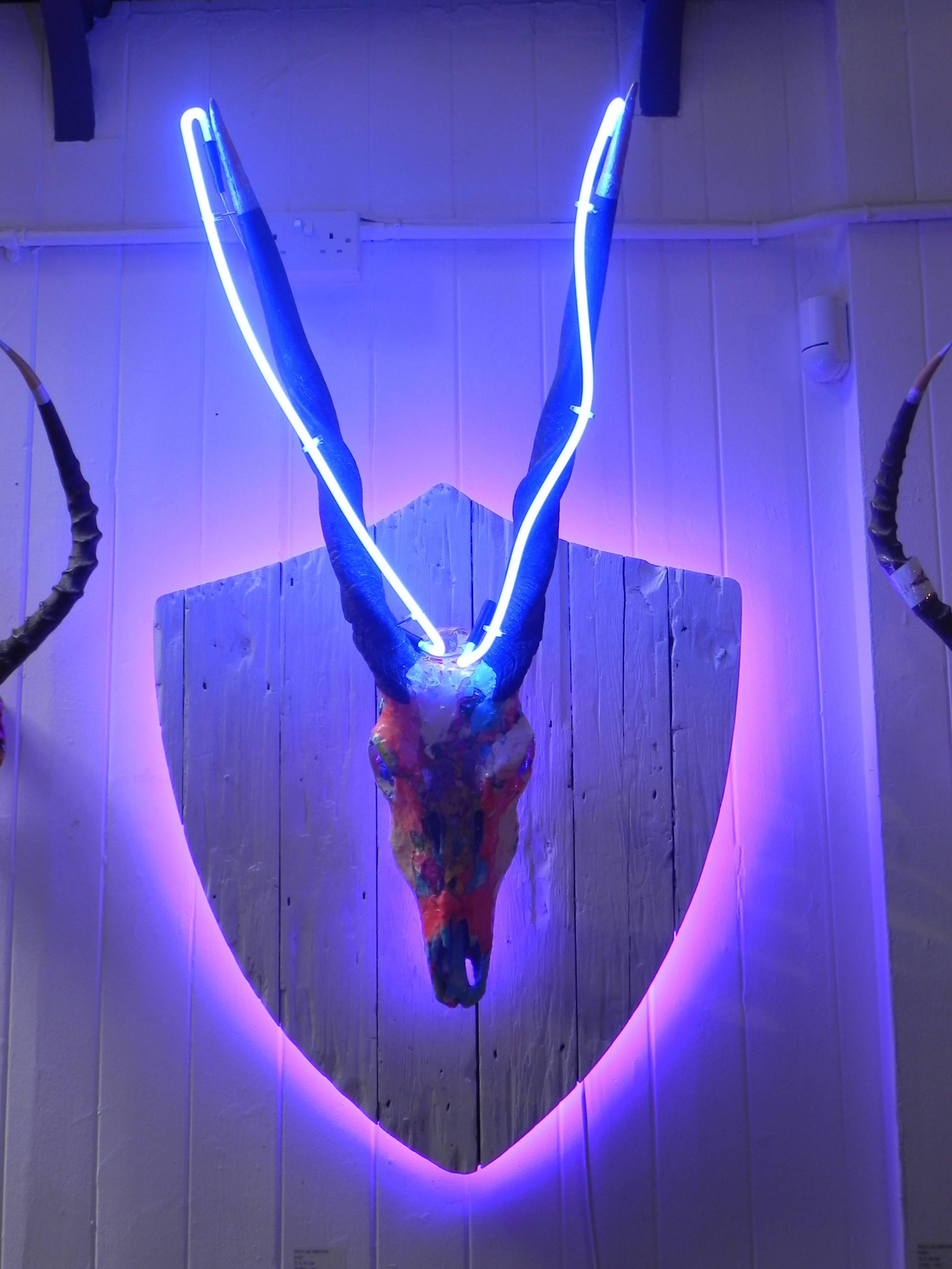 Daisy 
By artist Tracy Lee Griffith. Co-produced by Marcus Bracey.
Ethically sourced skull with horns coated in mixed paint and resin. Neon tracing the horns and an LED backlight, which changeable coloring.
Unique edition 1/1. 
Dimensions: 72 X