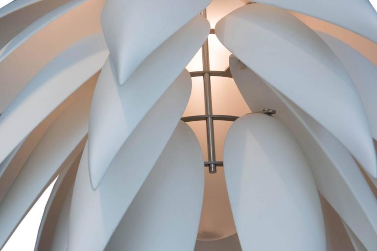 gel aloe vera amazon Aloe Vera Gel