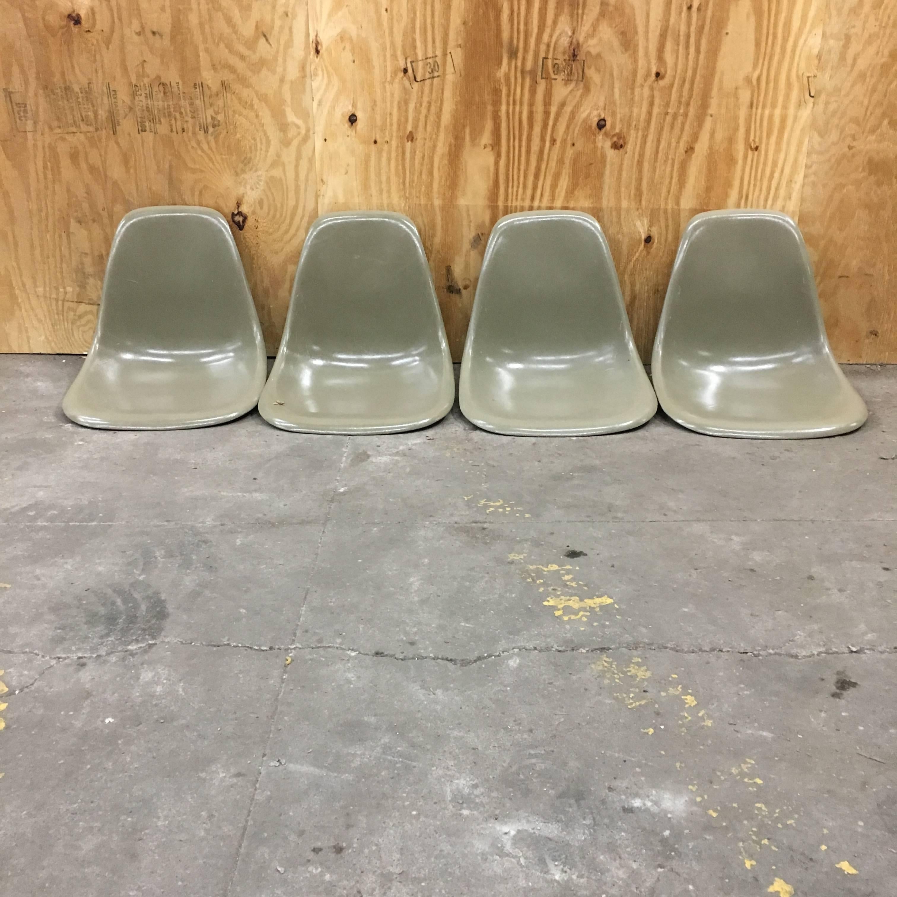 Set of eight Herman Miller Eames dining chairs in raw umber a very rare color. All shells in excellent original condition. Chairs come with free black standard bases. Other available bases include Eiffel and dowel. Up to 12 chairs available.