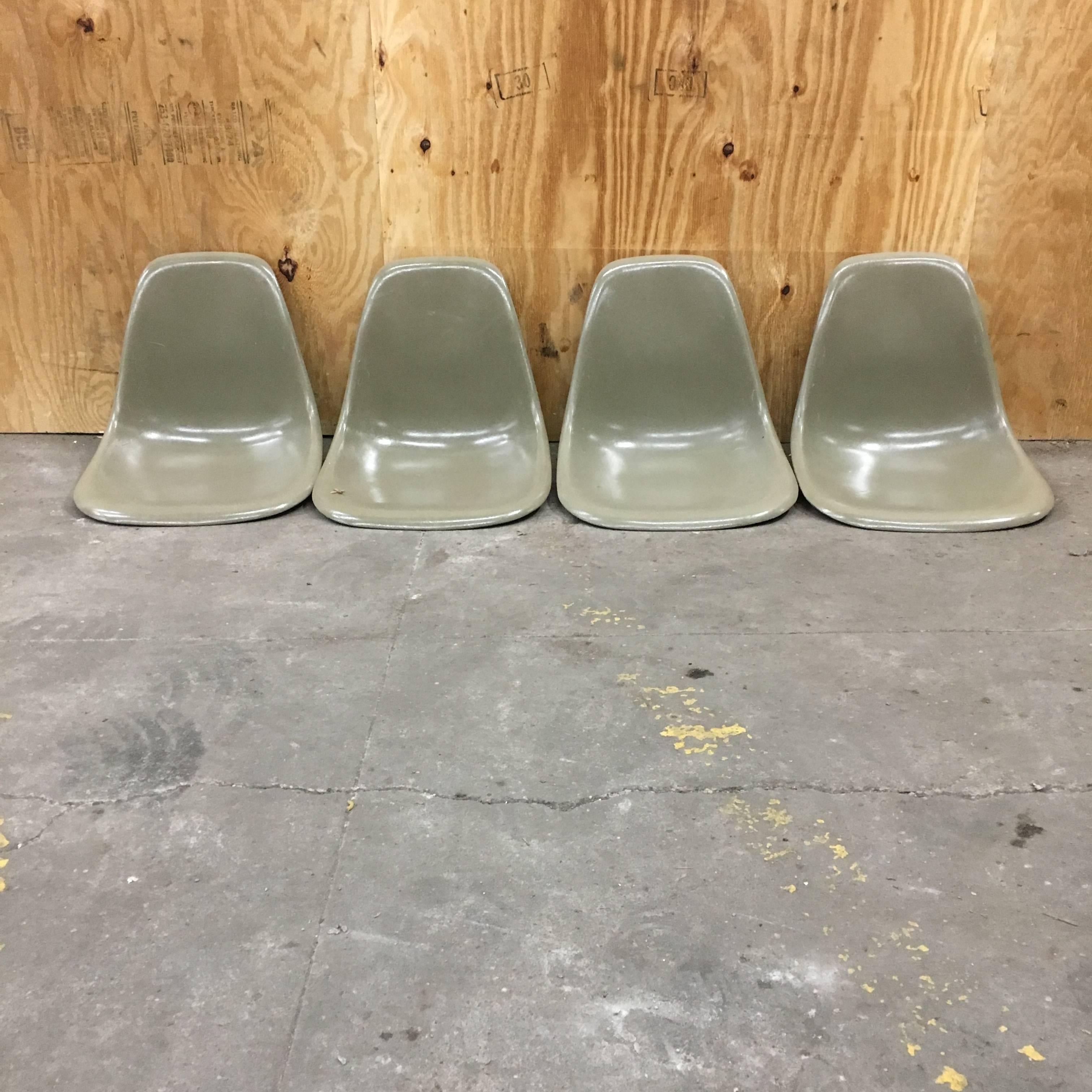 American Eight Rare Raw Umber Herman Miller Eames Chairs