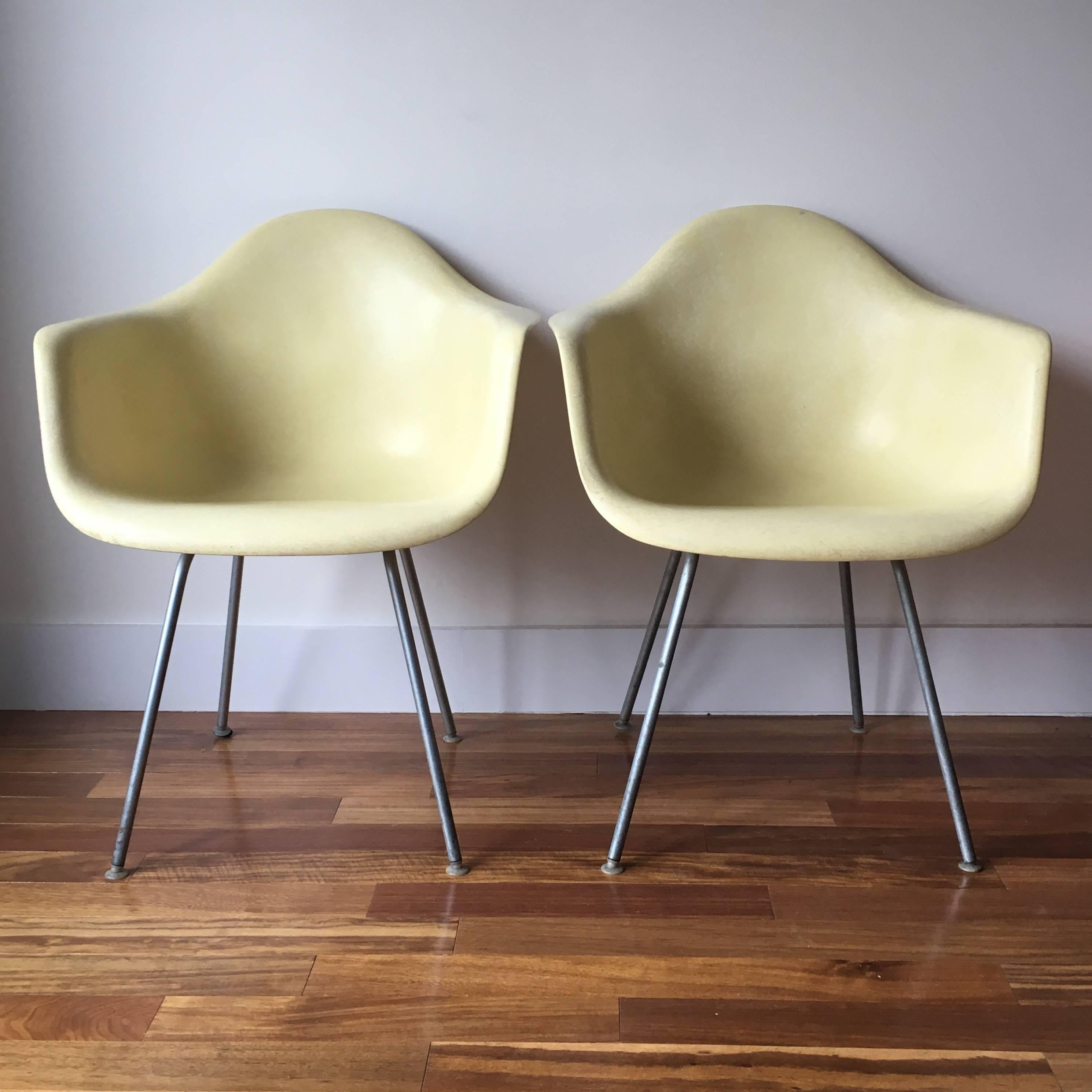 Two Herman Miller Eames DAX armchairs in parchment. Gorgeous buttery patina. No cracks or dings. In excellent condition. All glides present. All mounts tight. Mounts were reglued at some point. Early unmarked Zenith shells (from mid-1950s. Bases in