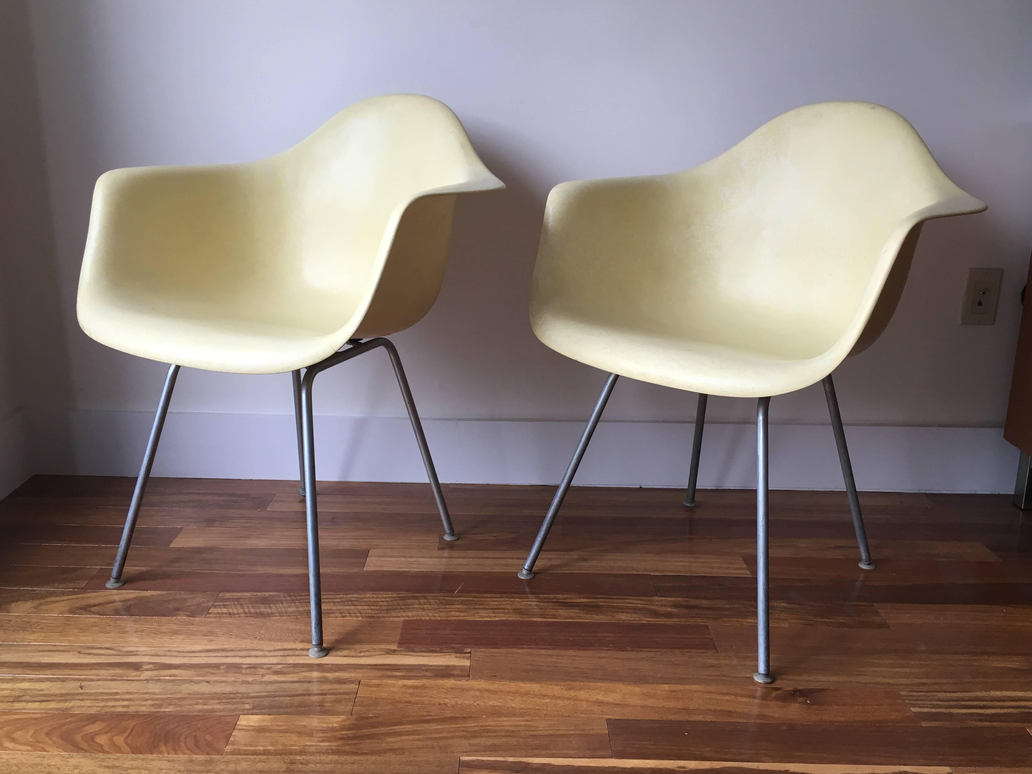 Mid-Century Modern Two Herman Miller Eames DAX Armchairs in Parchment