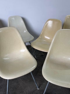 Set di 8 sedie da pranzo Herman Miller, moderne e di metà secolo.