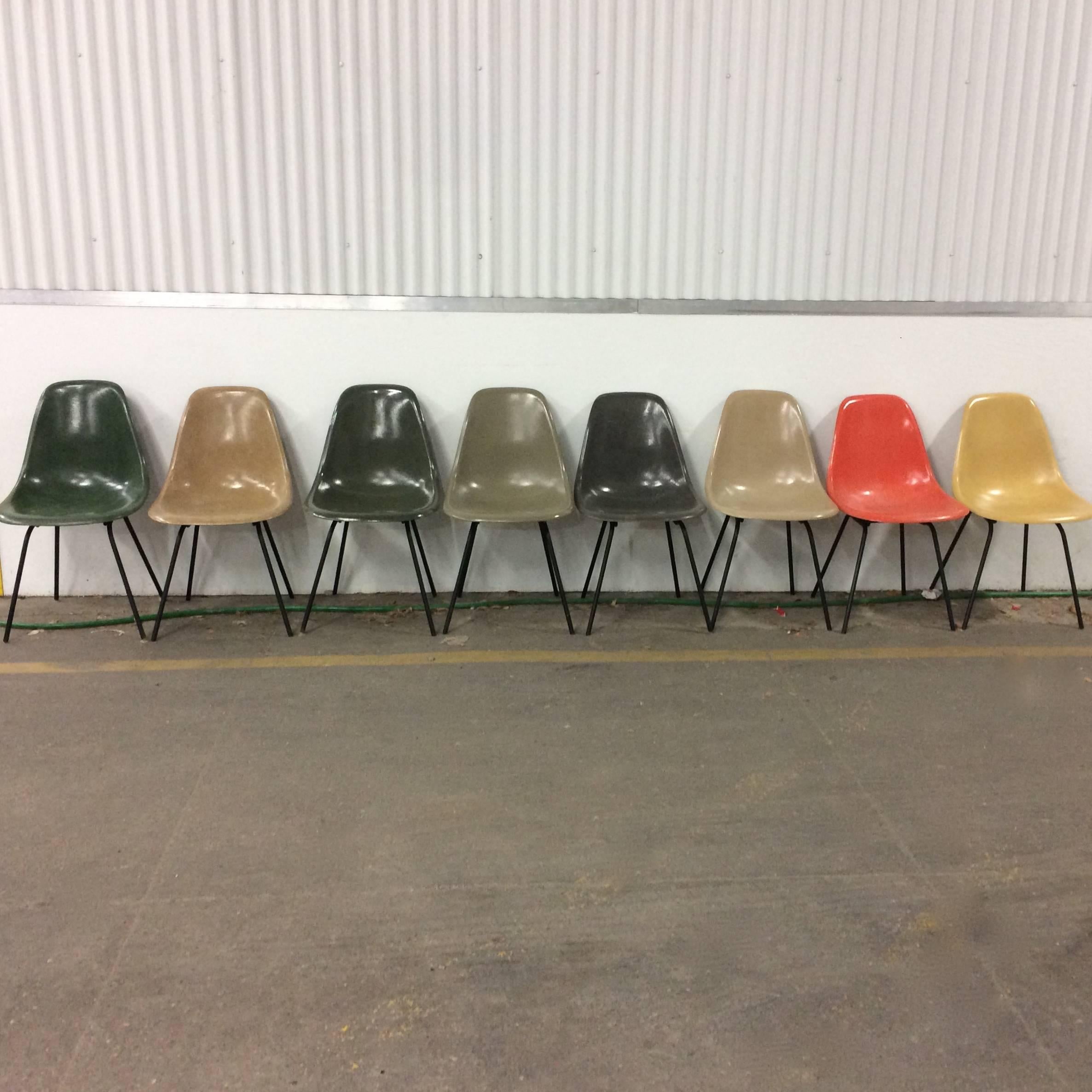 Set of 8 Herman Miller Eames DSX chairs. Forest green, light brown, olive green, raw umber, elephant hide grey, greige, red orange, ochre. The bases are missing some glides in the photos but they have all been installed. The only set like it. None