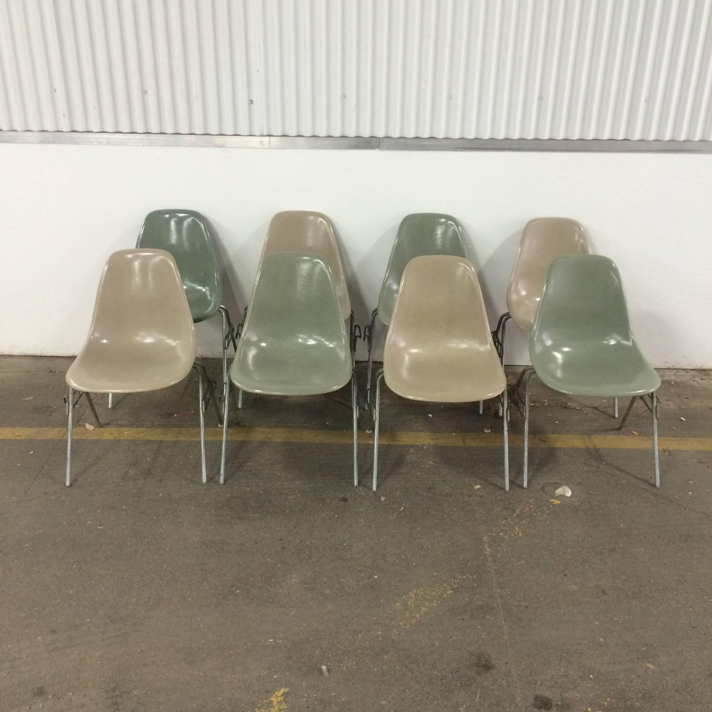 Mid-Century Modern Eight Greige and Seafoam Herman Miller Eames DSS Chairs