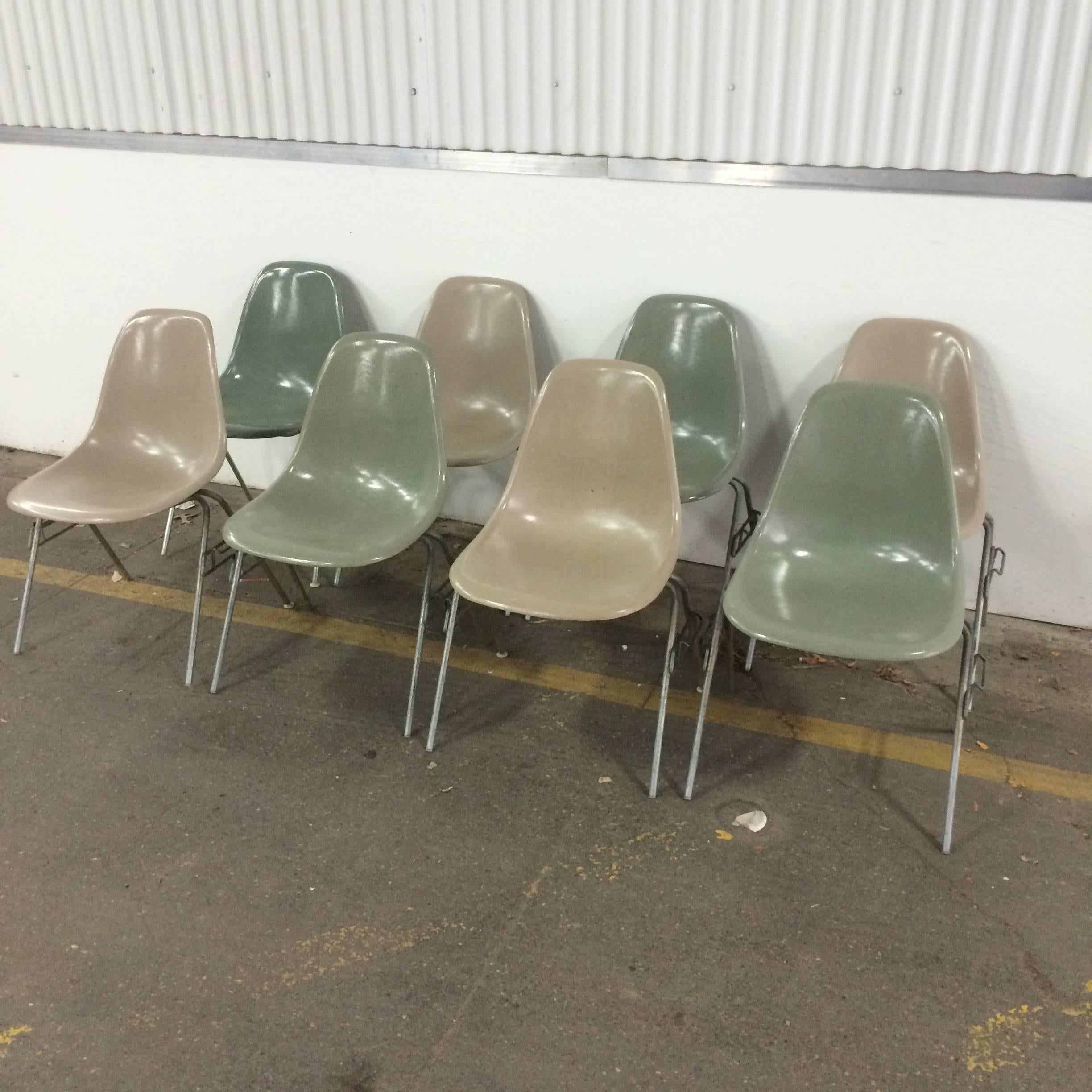 Eight Greige and Seafoam Herman Miller Eames DSS Chairs In Excellent Condition In Brooklyn, NY