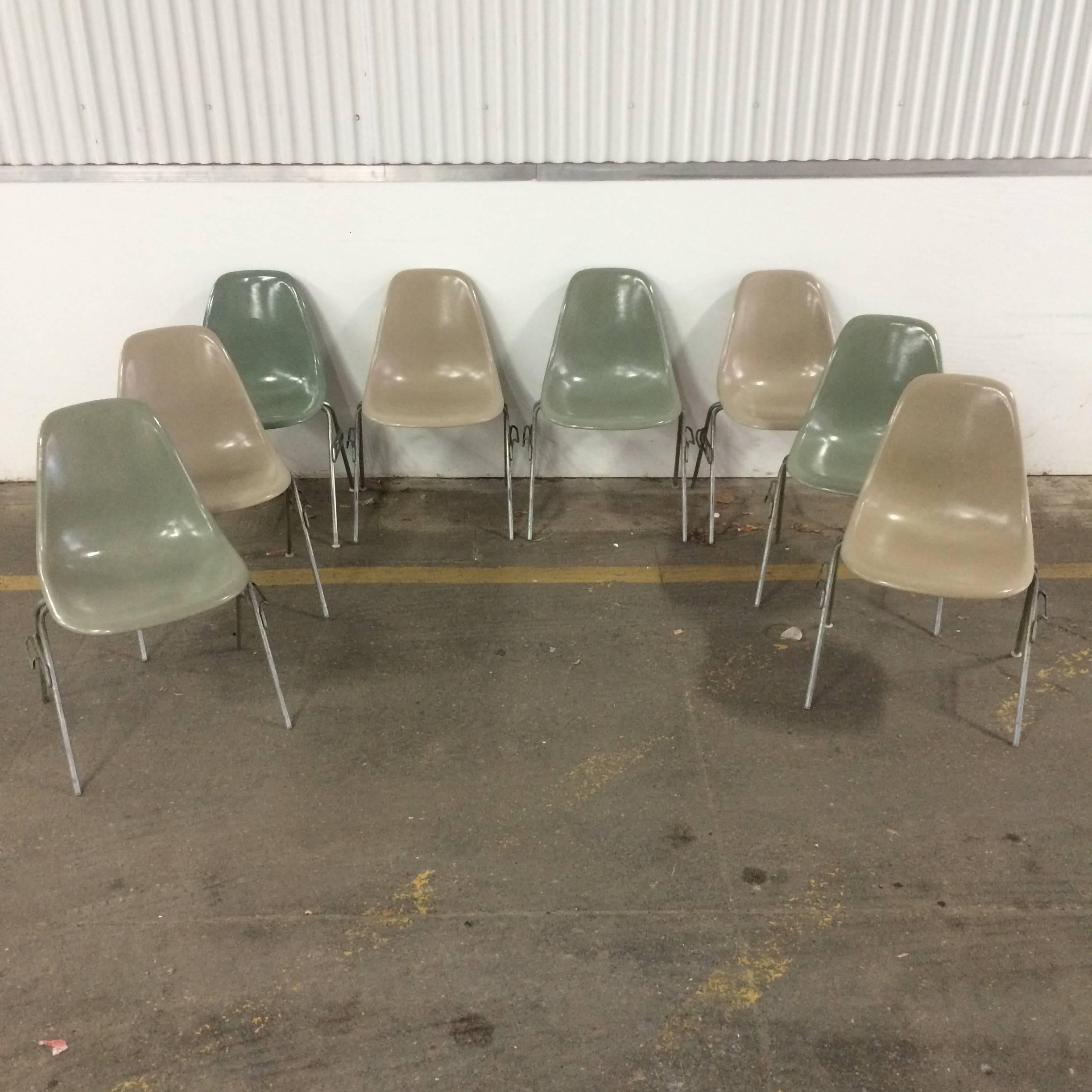 Spectacular set of eight Herman Miller Eames DSS stackable dining chairs in seafoam green and greige. Larger set available upon request. All shells in very good vintage condition with no fading, cracks, dings, holes, or anything besides normal