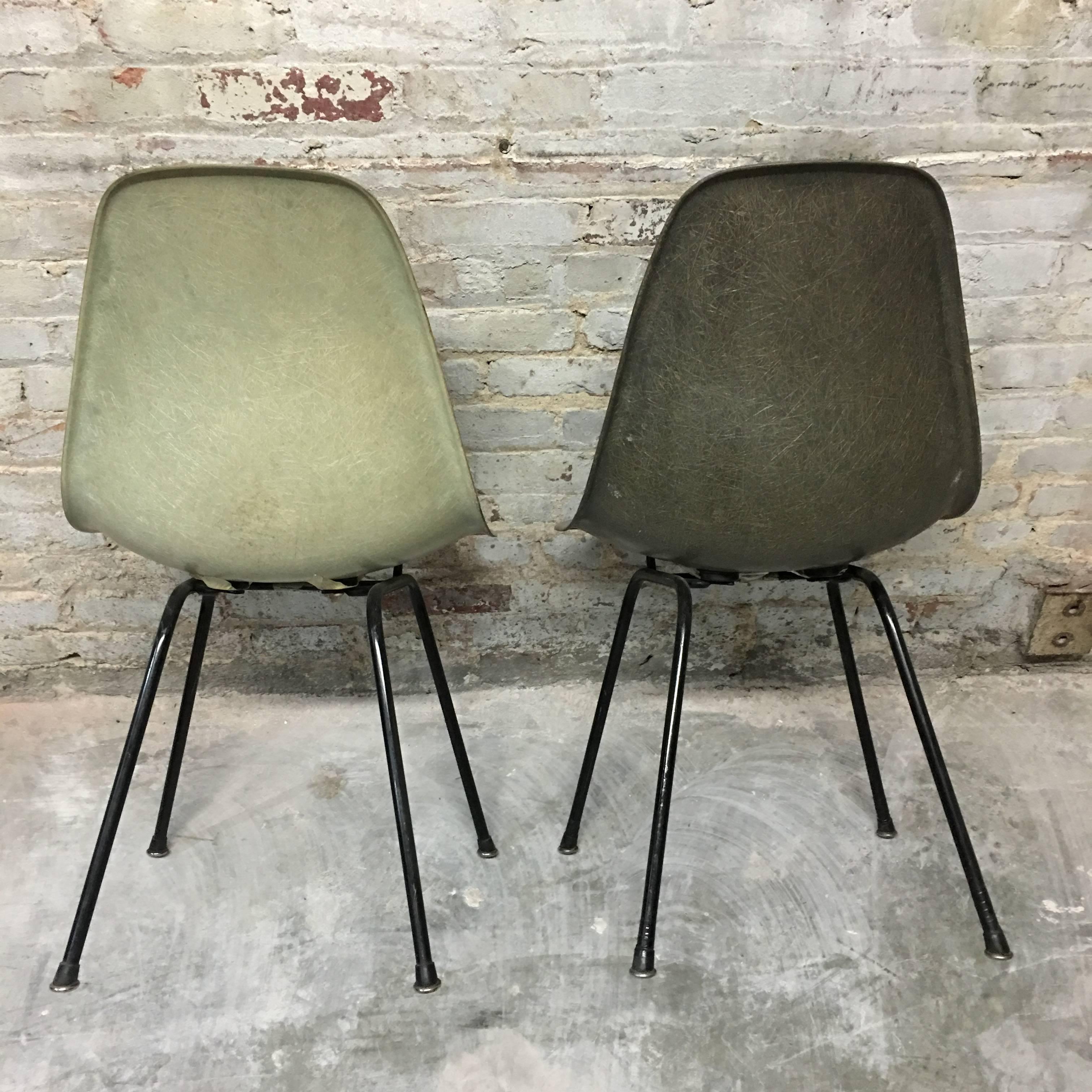 American Early Zenith Plastics Eames Shells in Seafoam Green and Elephant Grey