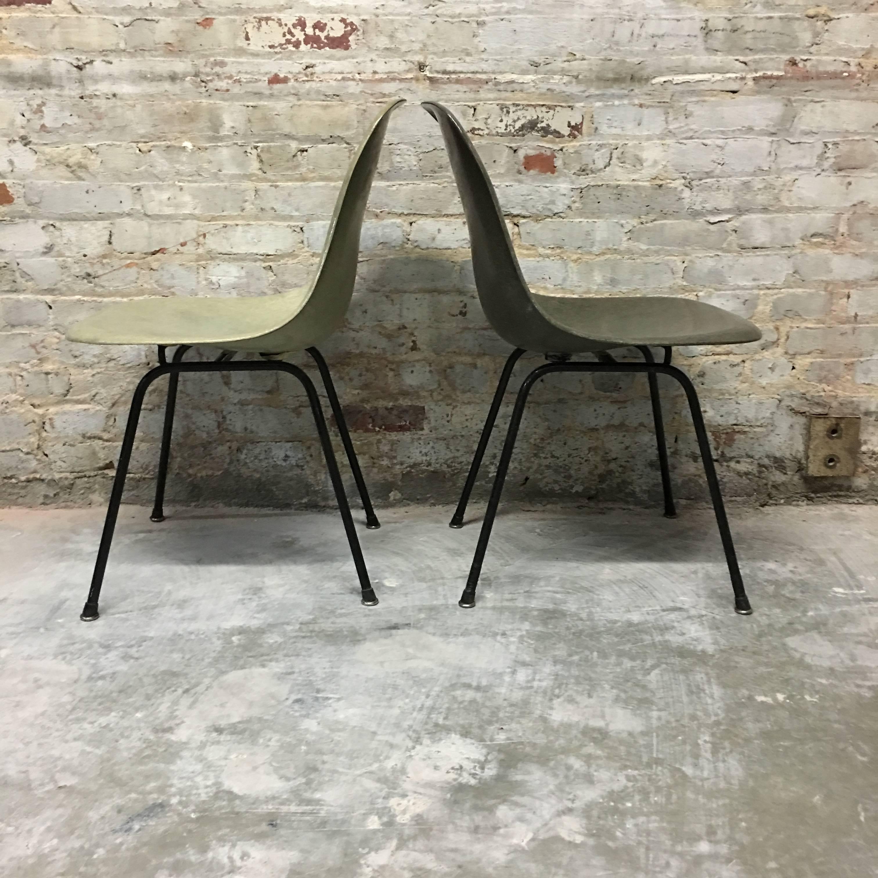 Original pair of rare early Eames dining chairs with shells by Zenith Plastics. Original bases with boot glides. Listing is for two chairs. One is seafoam green and one is elephant hide grey, the two most sought after original colors. No cracks or