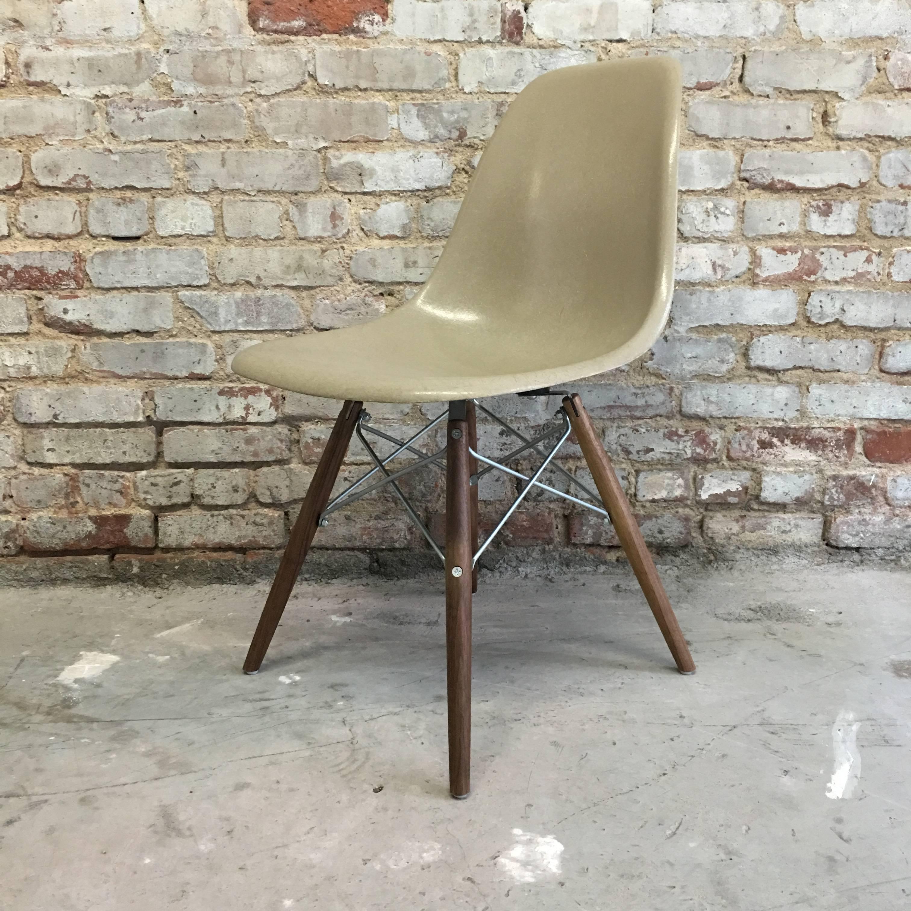 Herman Miller Eames DSW dining chair in Greige. Excellent condition with new Modern Conscience base. Sold in sets of 6, 8, 10, or 12. Wood legs available in maple, birch, or walnut (pictured). Metal available in black or zinc (pictured).