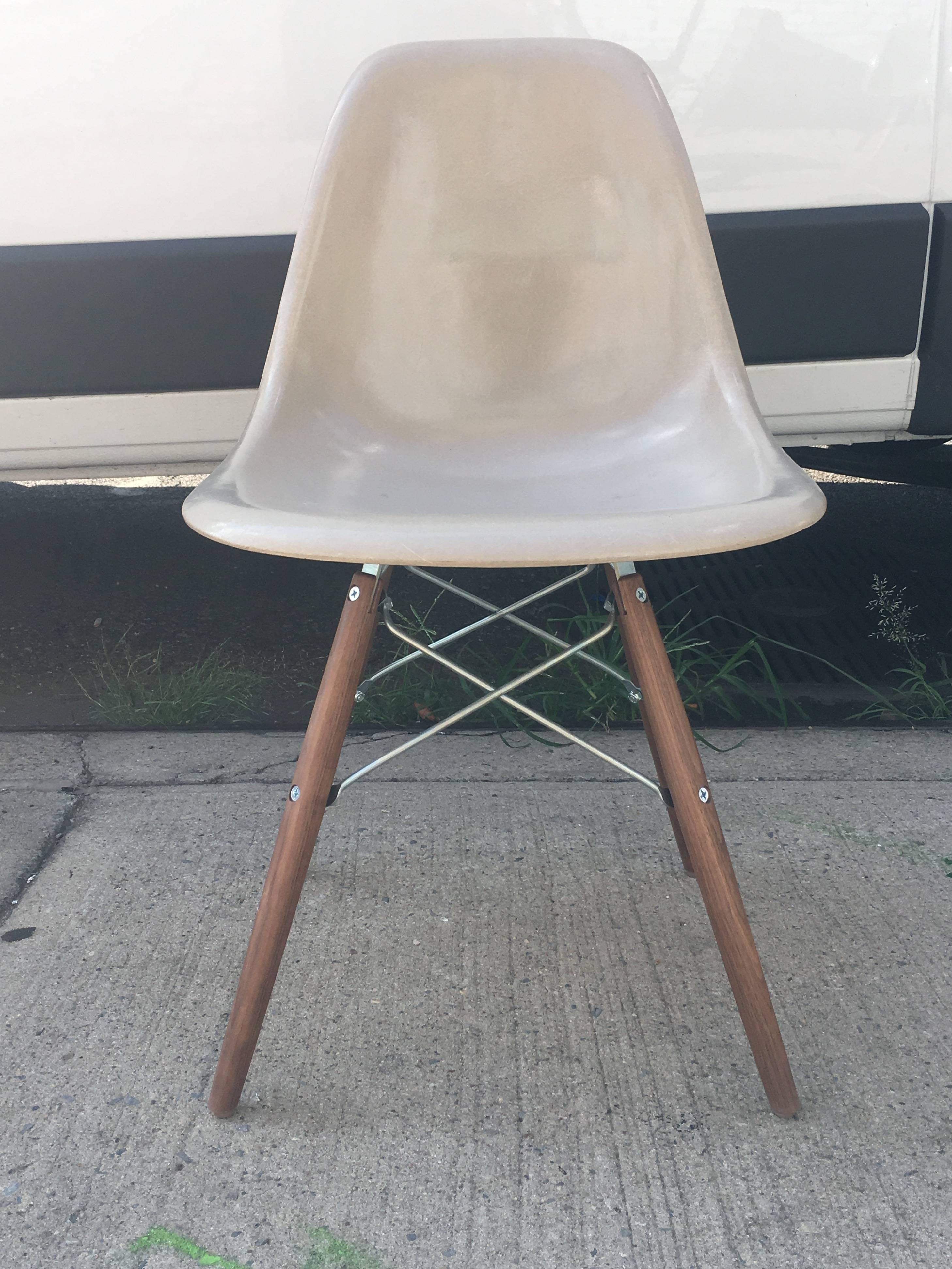 Eight Herman Miller Eames dining chairs in parchment and tan. New walnut bases. Excellent condition. Signed.