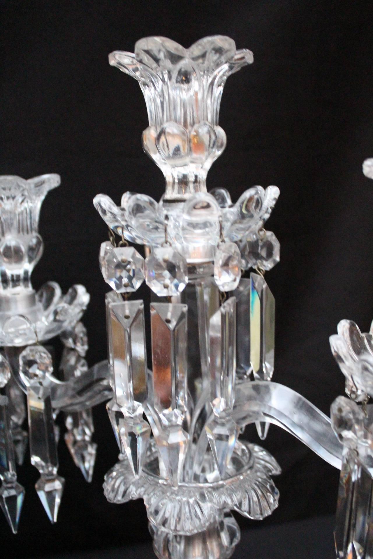 Pair of Three-Lights Chandelier or Candlestick, Baccarat, 1950 For Sale 2