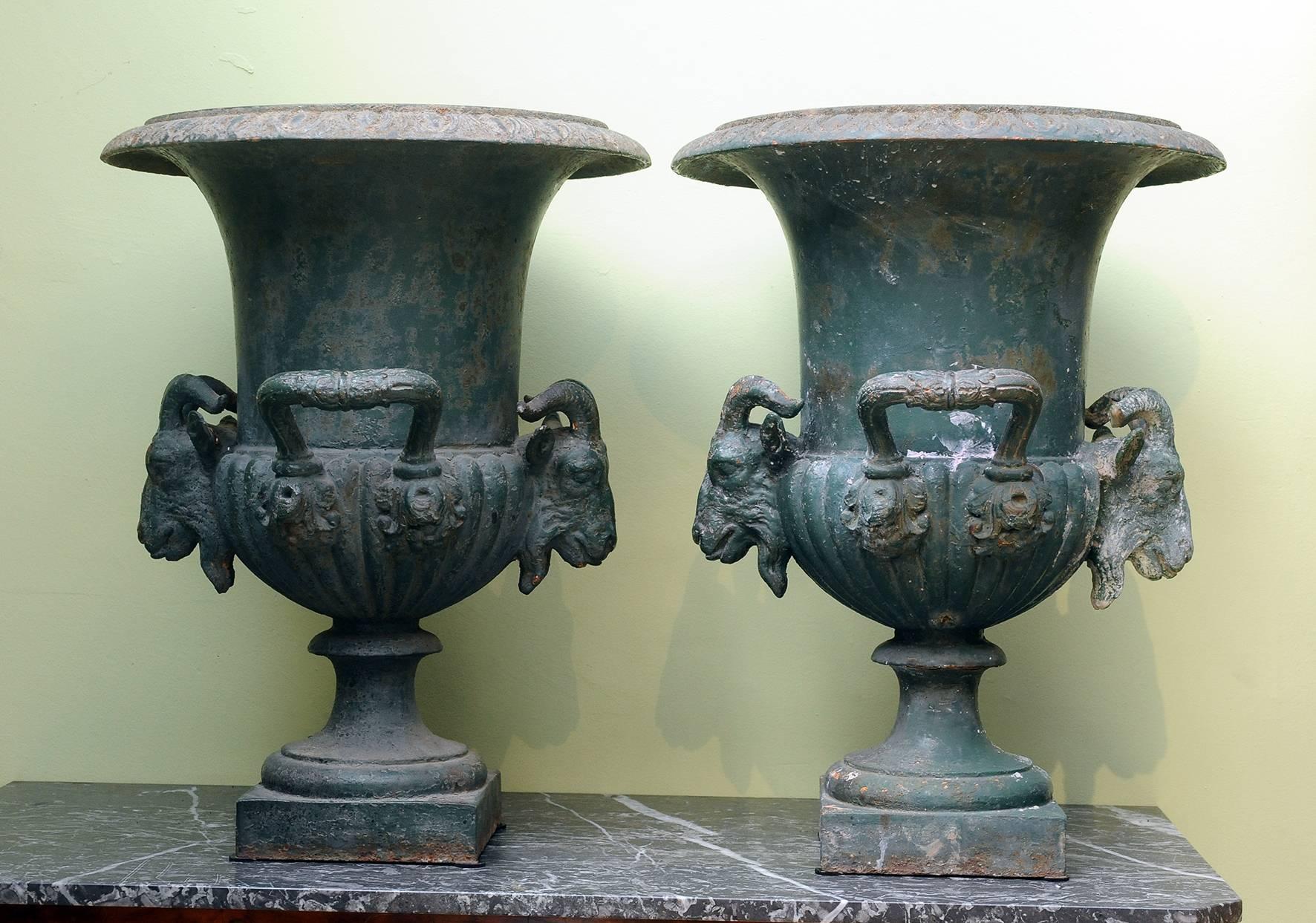 Pair of Campana urn. 
Cast iron,
19th century.

Imposing head of ram on each side and large handles. Deep green painted.

 