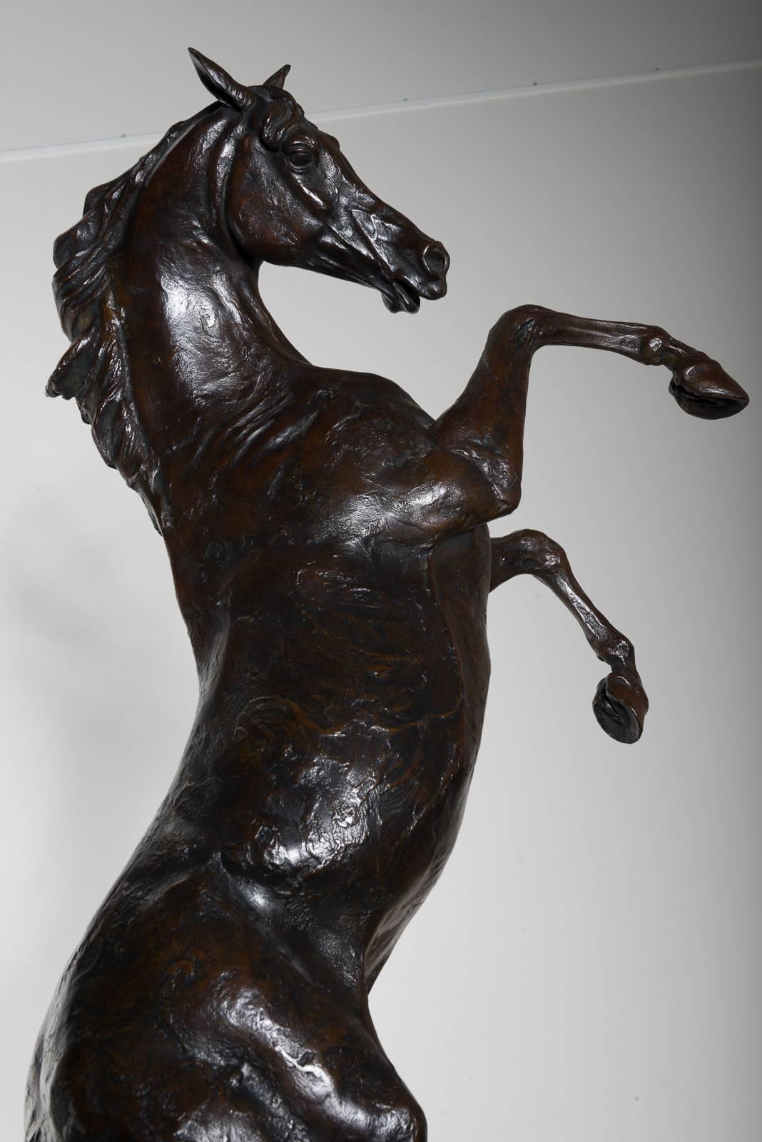 A bronze by Arnaud Kasper a famous French artist for the sculpture.
This piece is a sculpture in style a lights horse.
The artist produce a limited edition of 8 by model.
The model exposed is N°2 of 8, manufacture of the Foundry is French by