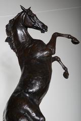 Lights Horse Sculpture in Bronze by Arnaud Kasper