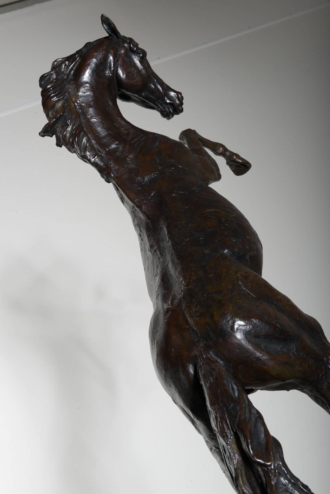 Modern Lights Horse Sculpture in Bronze by Arnaud Kasper For Sale