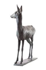 Deer Bronze