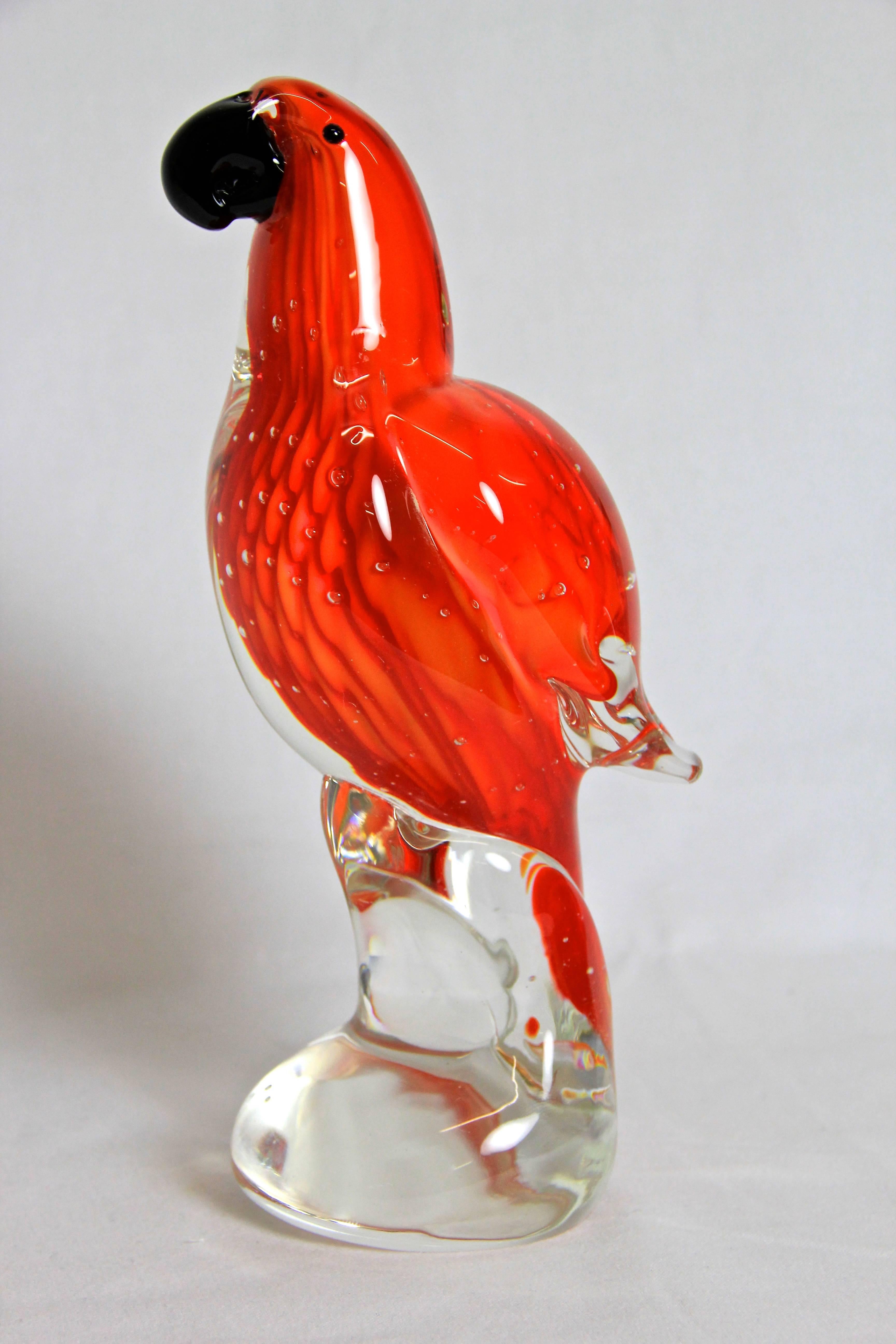 murano parrot