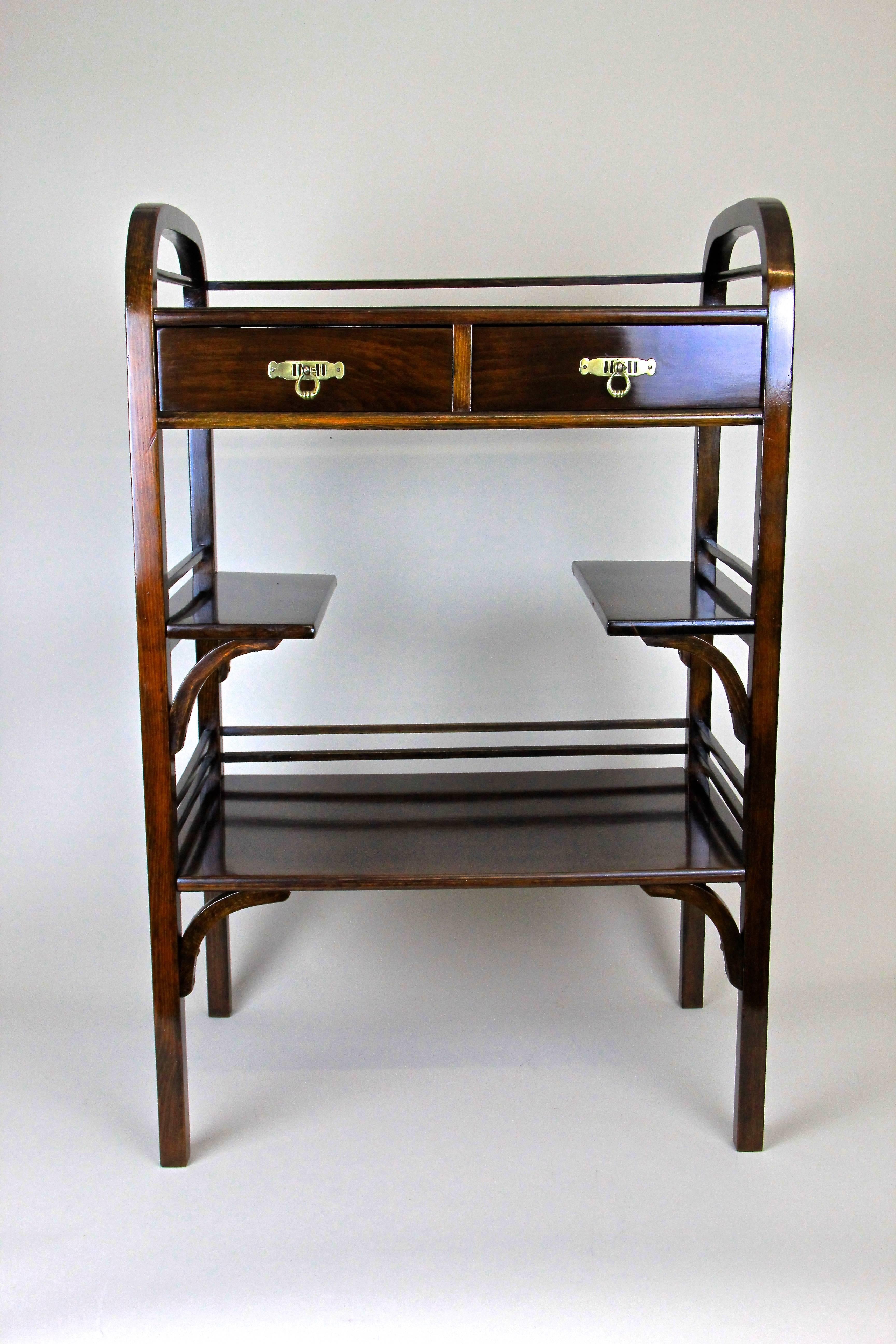 This super rare Art Nouveau etagere or side table was made by the famous manufacture of D.G. Fischel in Niemes/ Bohemia circa 1905. D.G. Fischel was one of the big players beside famous names like Thonet and J&J Kohn. This rare concept design