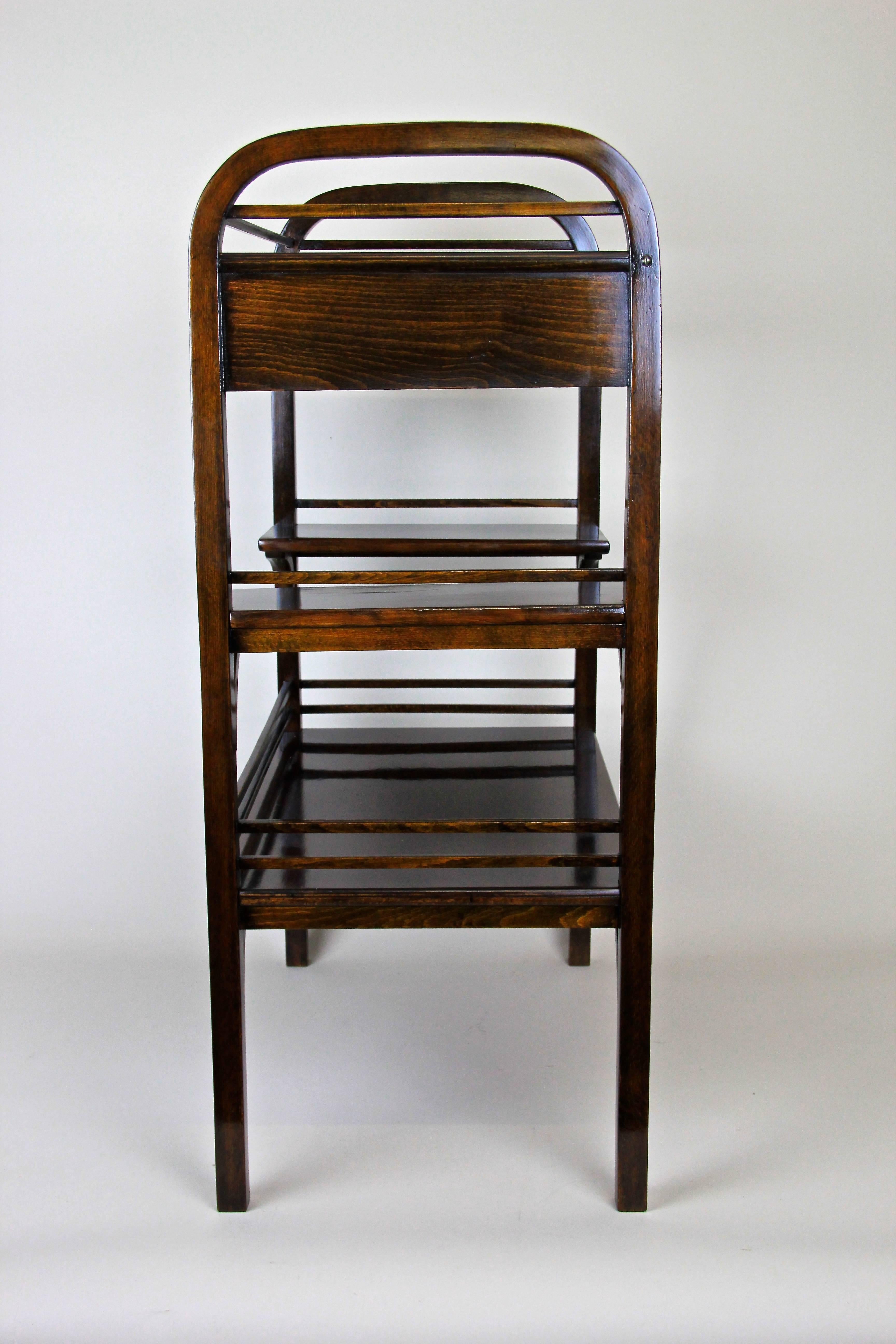 Beech Art Nouveau Etagere/ Side Table by D.G. Fischel, Bohemia, circa 1905