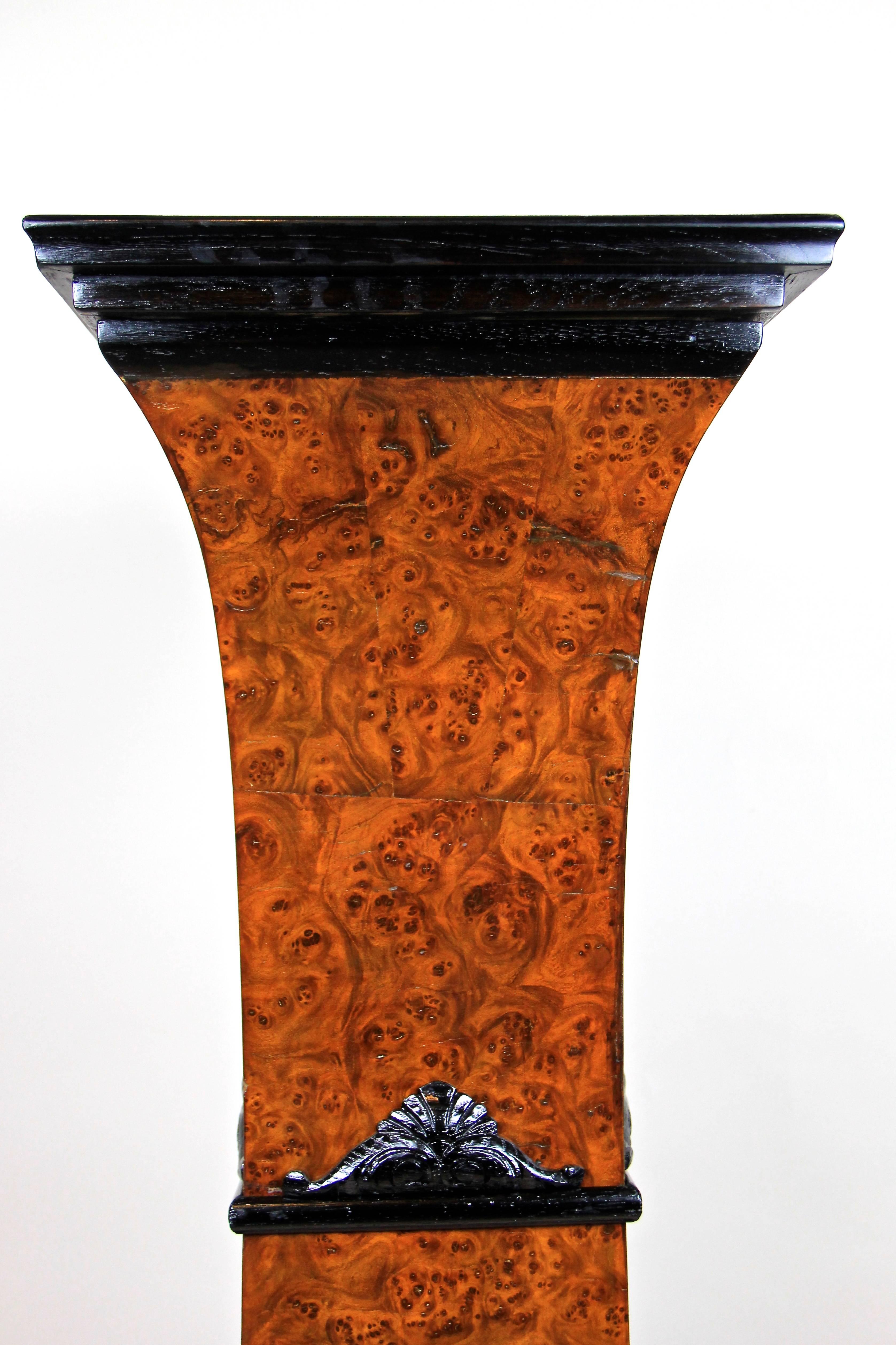 Birdseye Maple Art Nouveau Pedestal Bird’s-Eye Maple, Austria, circa 1890