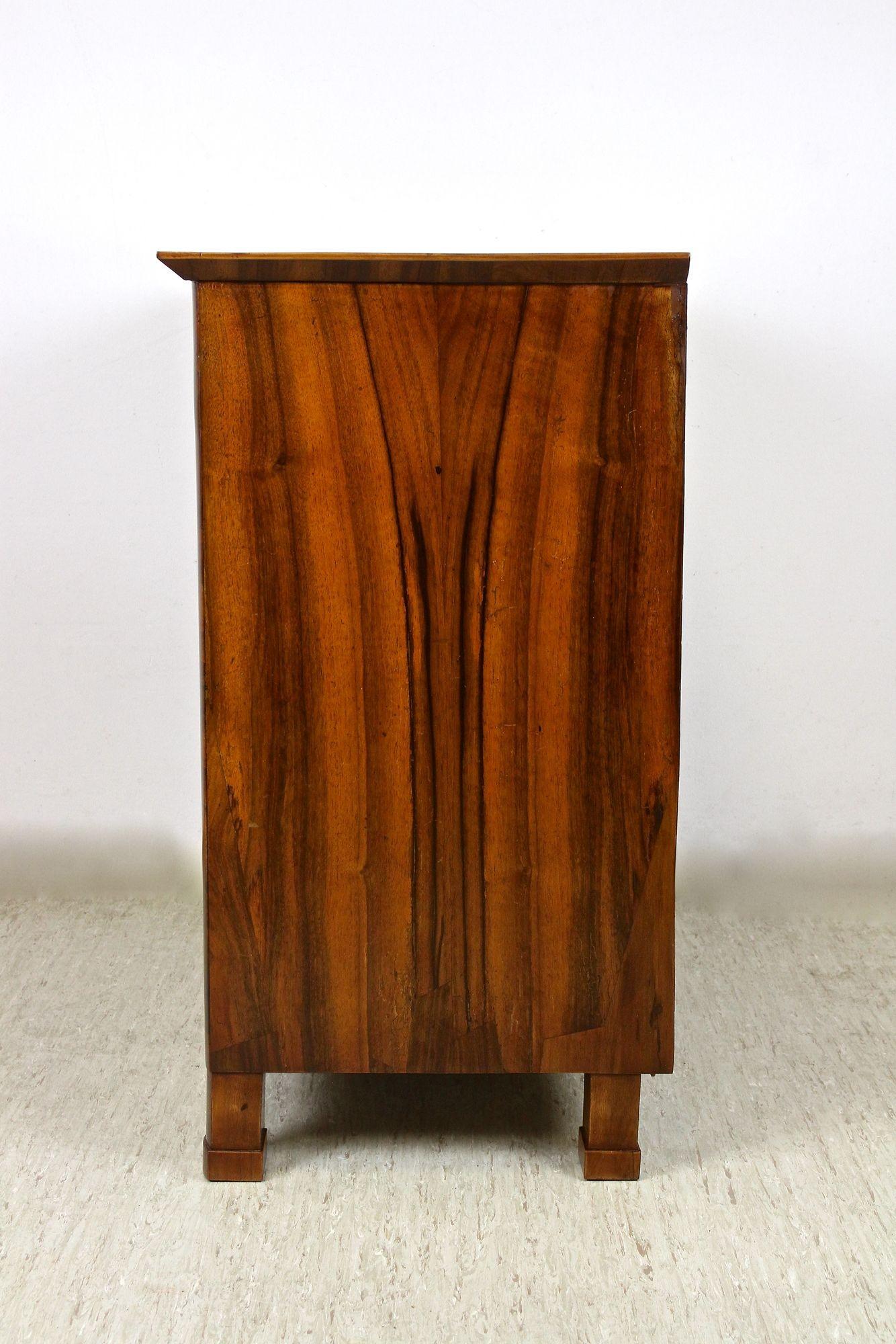 19th Century Biedermeier Nutwood Commode/ Trumeau/ Half Cabinet, AT circa 1830 For Sale 5