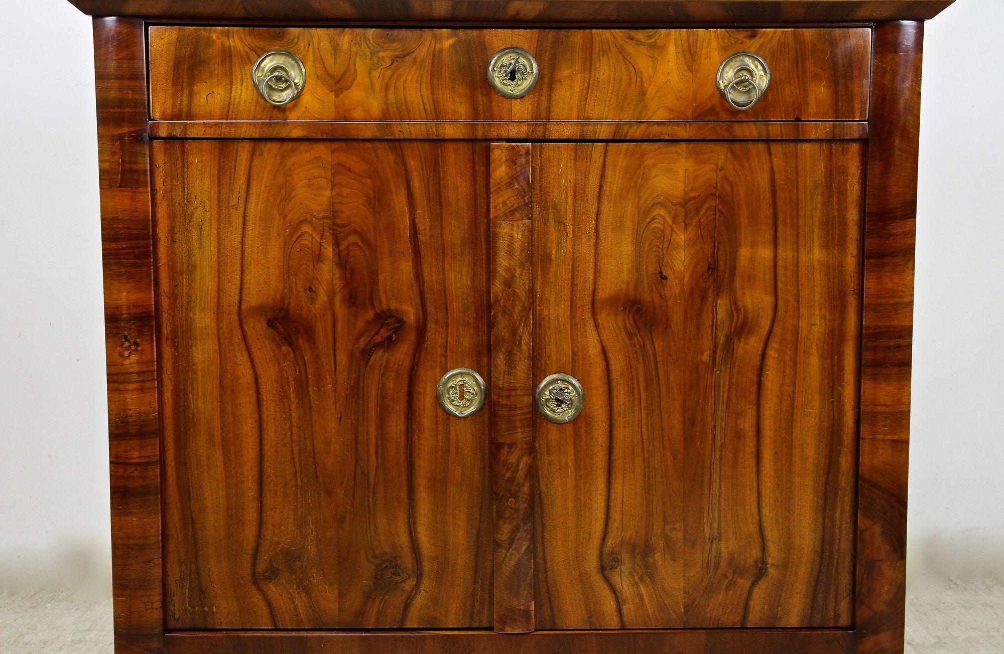 19th Century Biedermeier Nutwood Commode/ Trumeau/ Half Cabinet, AT circa 1830 For Sale 6