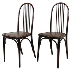 Thonet-Stühle im Jugendstil des 19. Jahrhunderts von J. Hoffmann, 1. Auflage – CZ ca. 1906