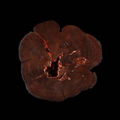 "Tesori della decadenza"; un'edizione limitata di tavoli scultorei dello Studio Roeper