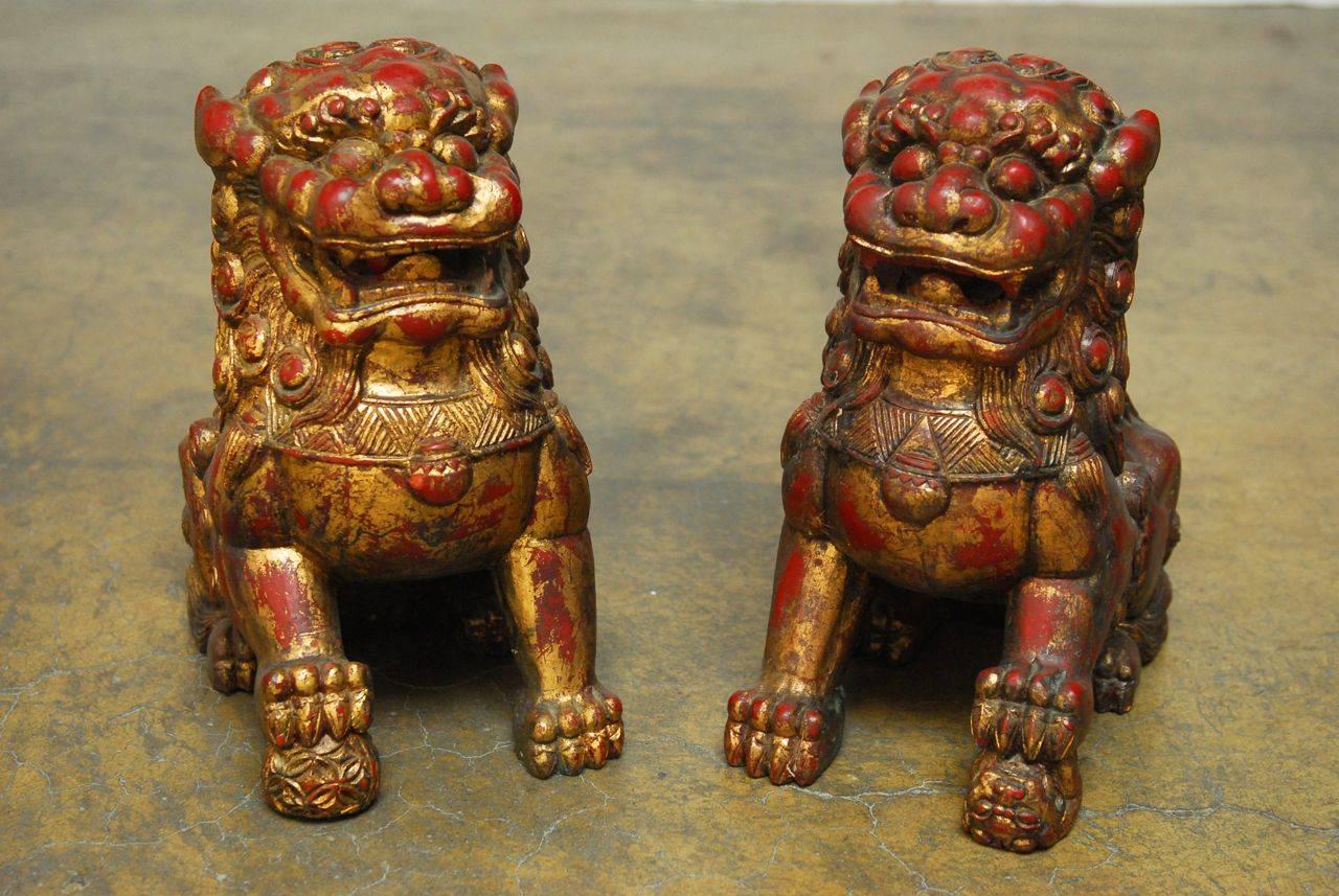 Impressive pair of well carved Foo dogs or lion statues in the manner and scale of temple carvings. Red lacquered wood with antiqued gilt accents. Male and female representatives with the male holding and orb and the female a cub.
