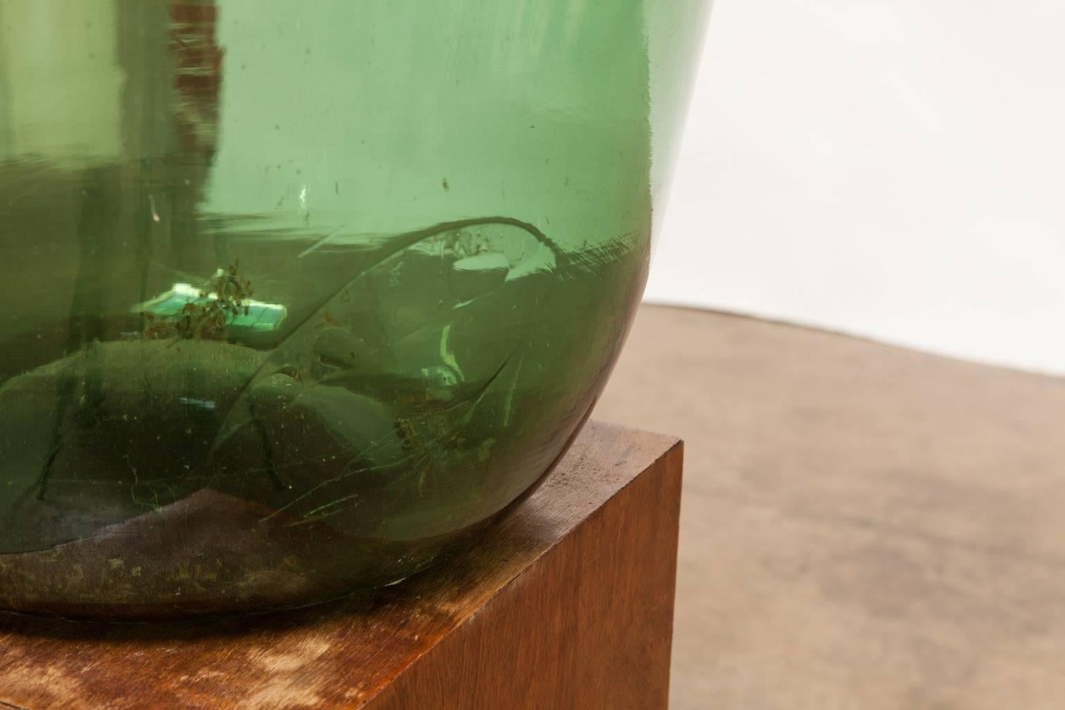 damigiana verde