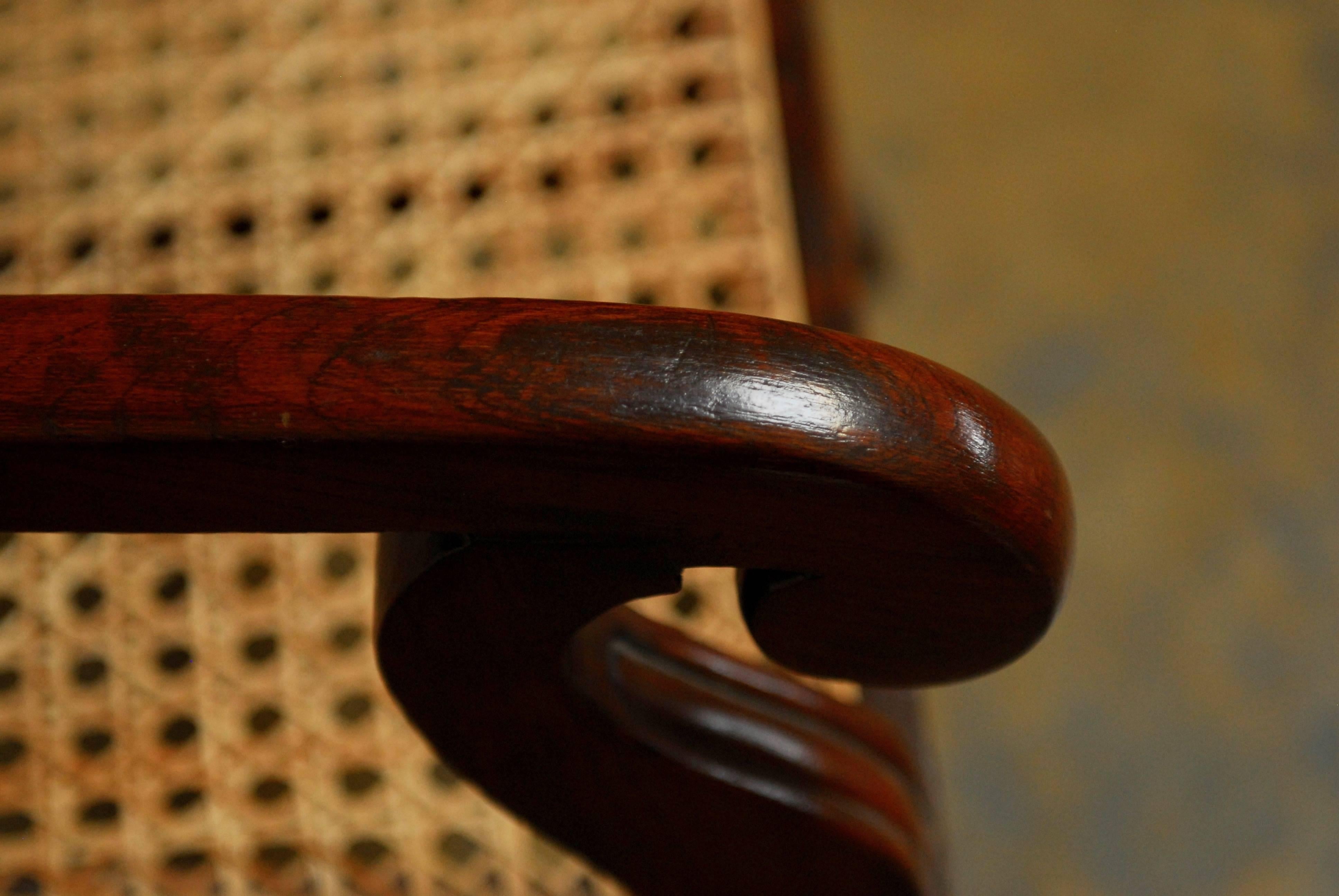 Cane 19th Century Anglo Indian Rosewood Armchair