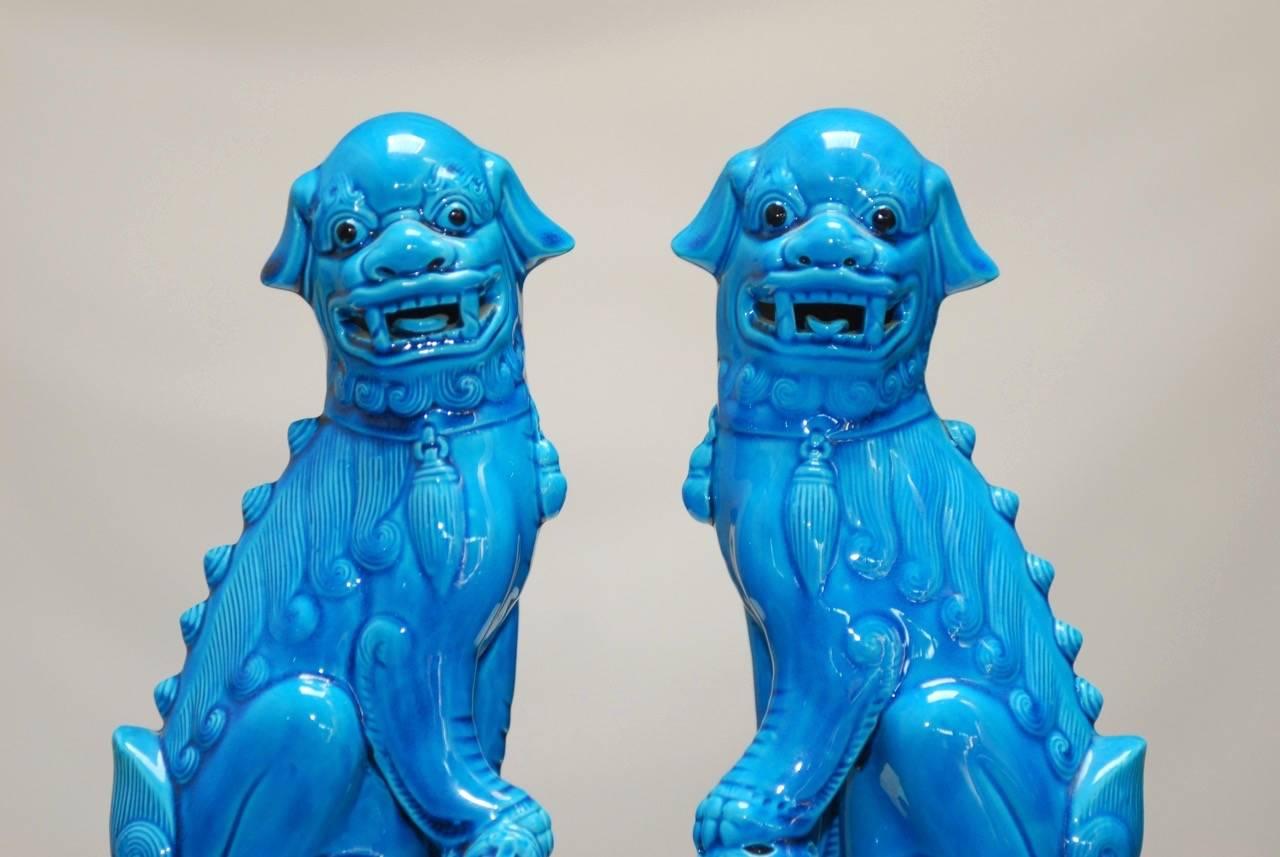 Captivating pair of Chinese foo dogs or foo lions depicted as a male and female finished in a glazed bright turquoise color. Each dog is mounted on a Stand, one holding a ball and the other a foo cub.
