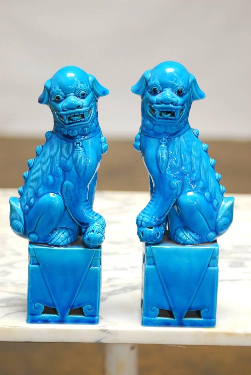 turquoise foo dogs for sale