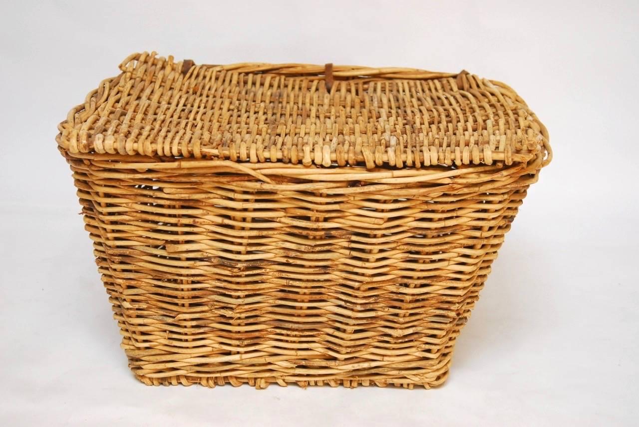 Grand French woven rattan harvest basket with handles featuring a lidded top with leather strap hinges. Large-scale would make a nice storage trunk or decorative coffee table.