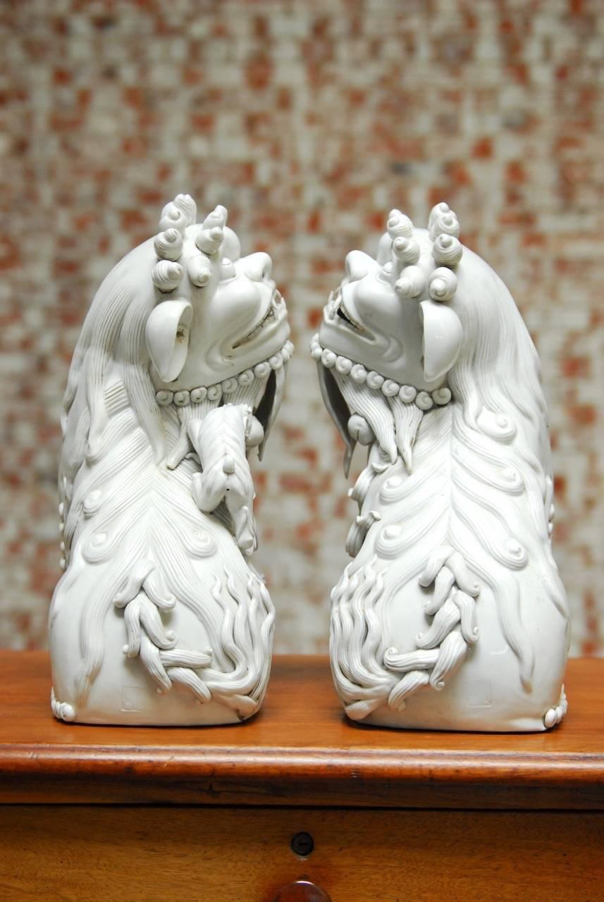 Pair of Chinese Dehua Blanc de Chine Porcelain Foo Dogs 1
