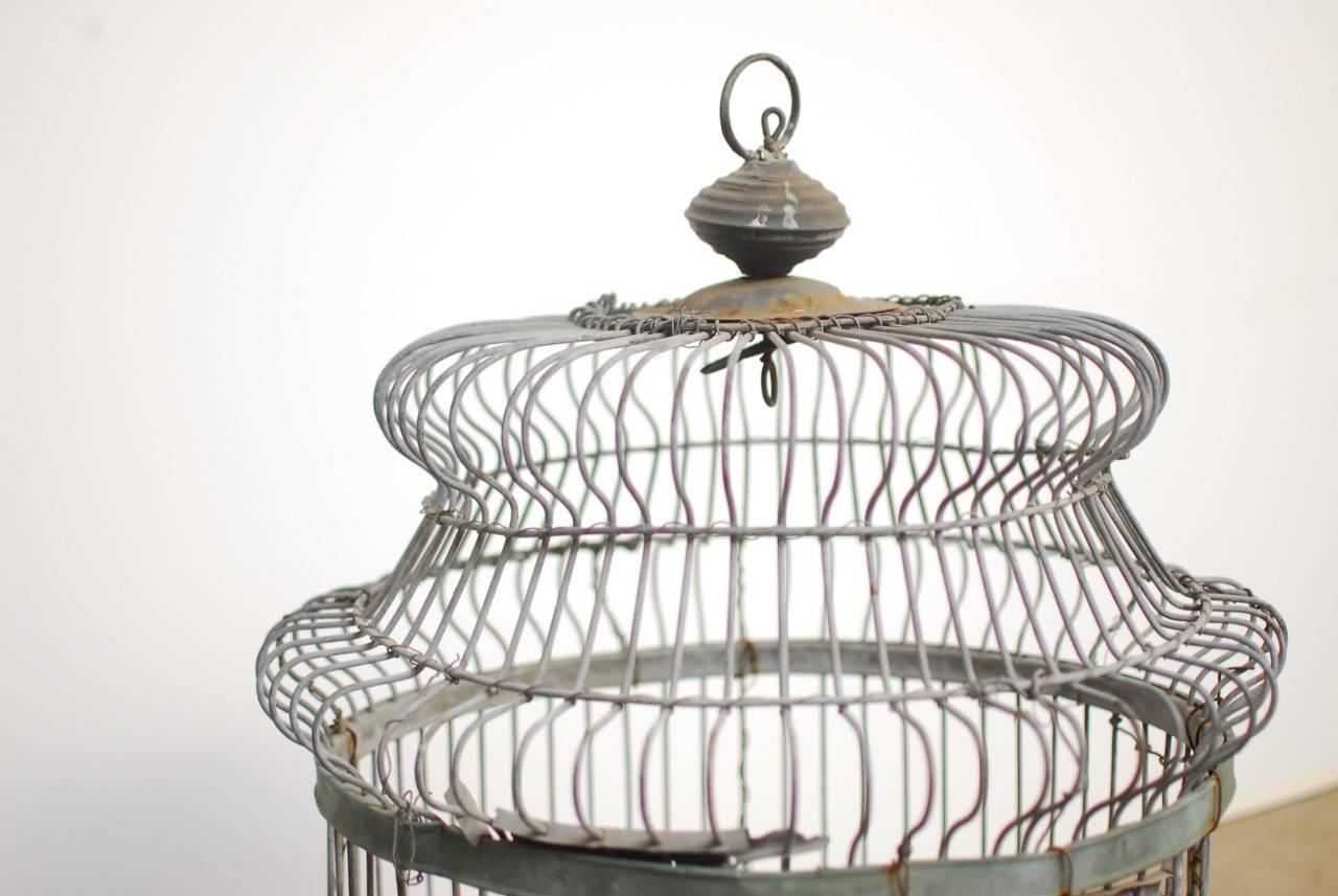 19th Century French Zinc Bird Cage  5