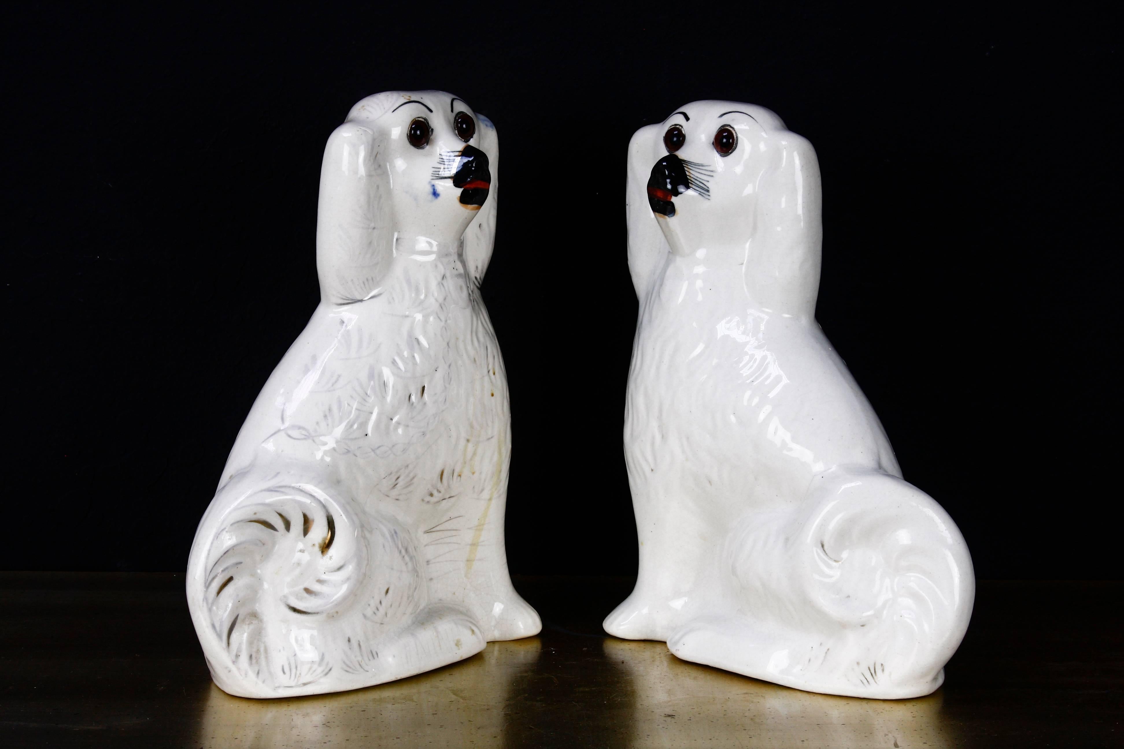Delightful pair of English Staffordshire white glazed ceramic spaniel dogs. Featuring a white craquelure finish with nearly all gilt decoration faded away. Seated with curled tails and glass eyes.