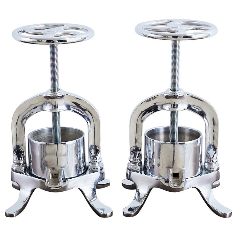 French Polished Brass Duck Press For Sale at 1stdibs