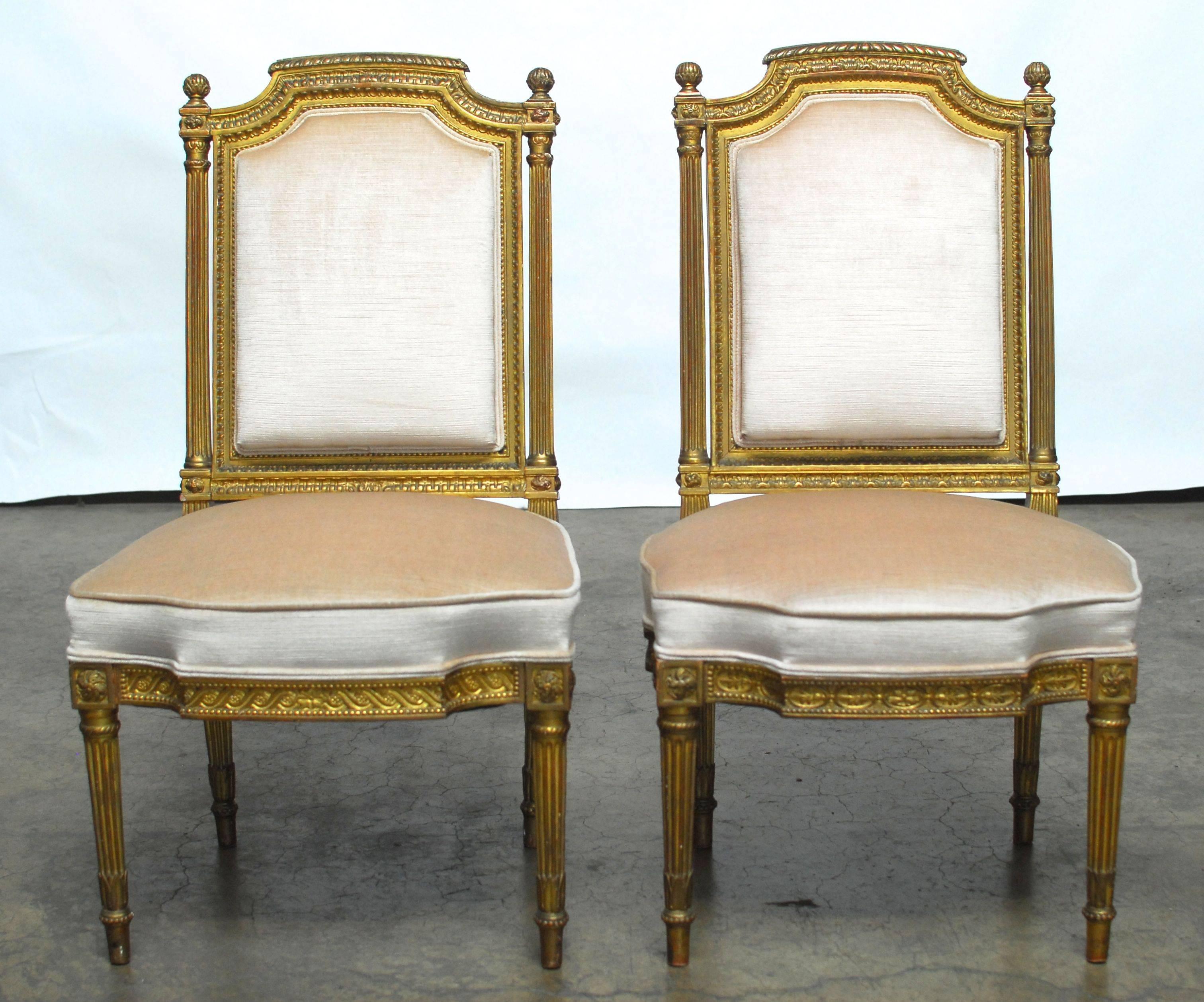 Stunning pair of French Louis XVI chairs featuring thick, giltwood frames. Fluted supports decorate the back with a shaped crest rail and round acorn finials. The seats have a bowed front apron with tall cushions and double welt border. Newly