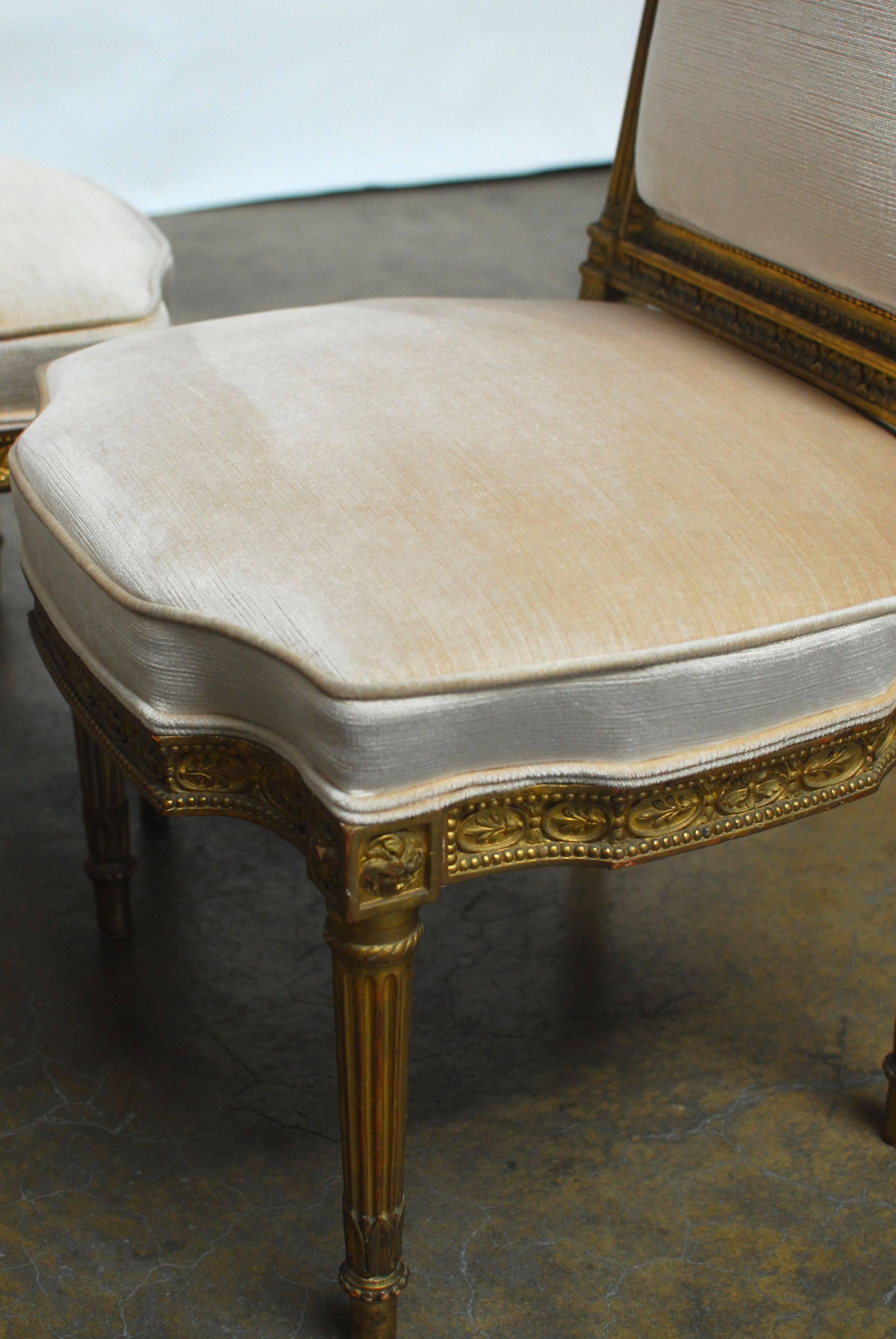 19th Century Louis XVI Giltwood Hall Chairs 3