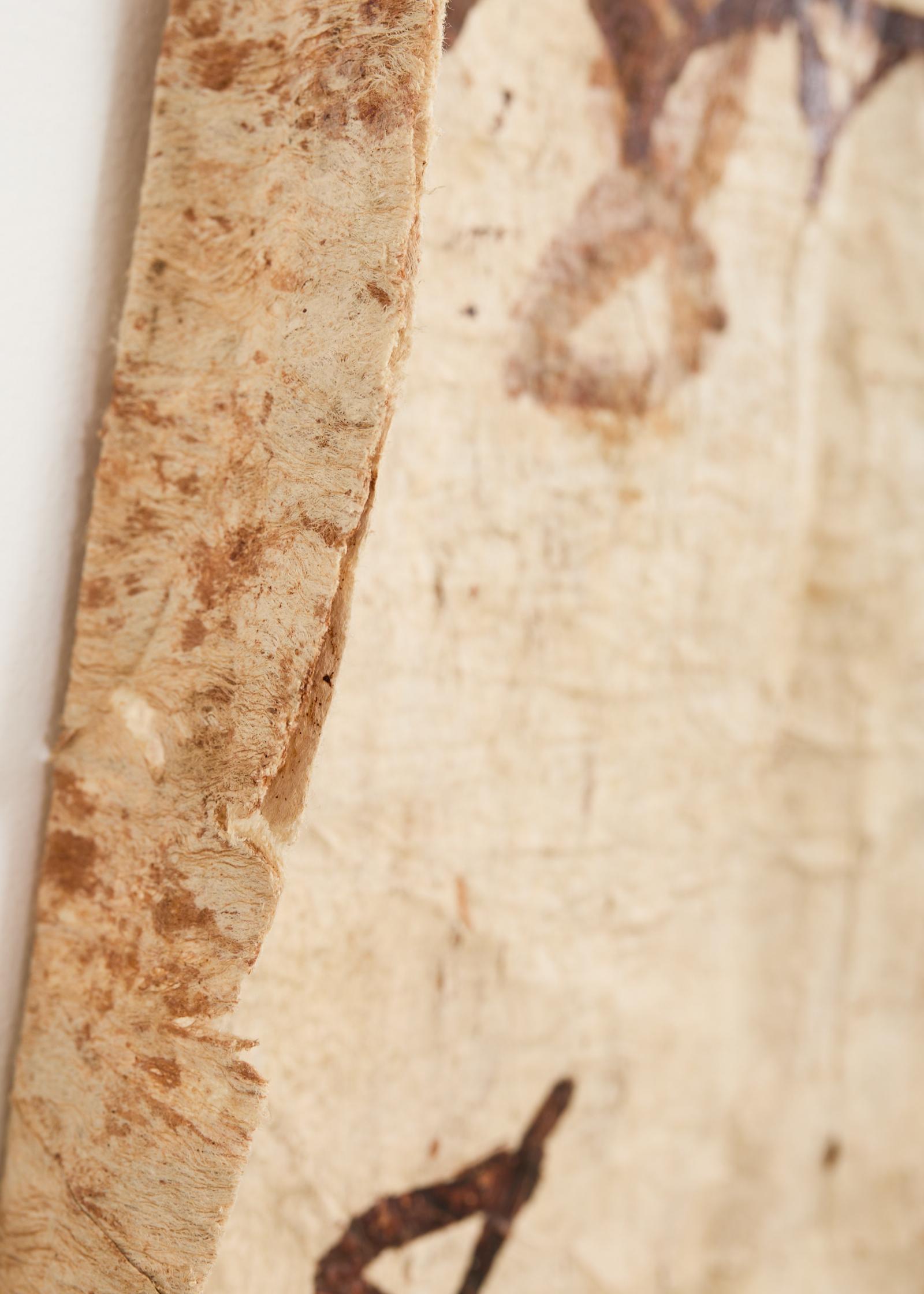 Stammes-Stil 12 Ft polynesischen Tapa Rinde Tuch aus Tonga im Angebot 5