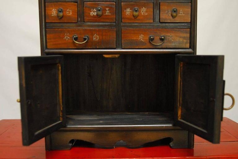 Chinese Medicine Apothecary Cabinet At 1stdibs