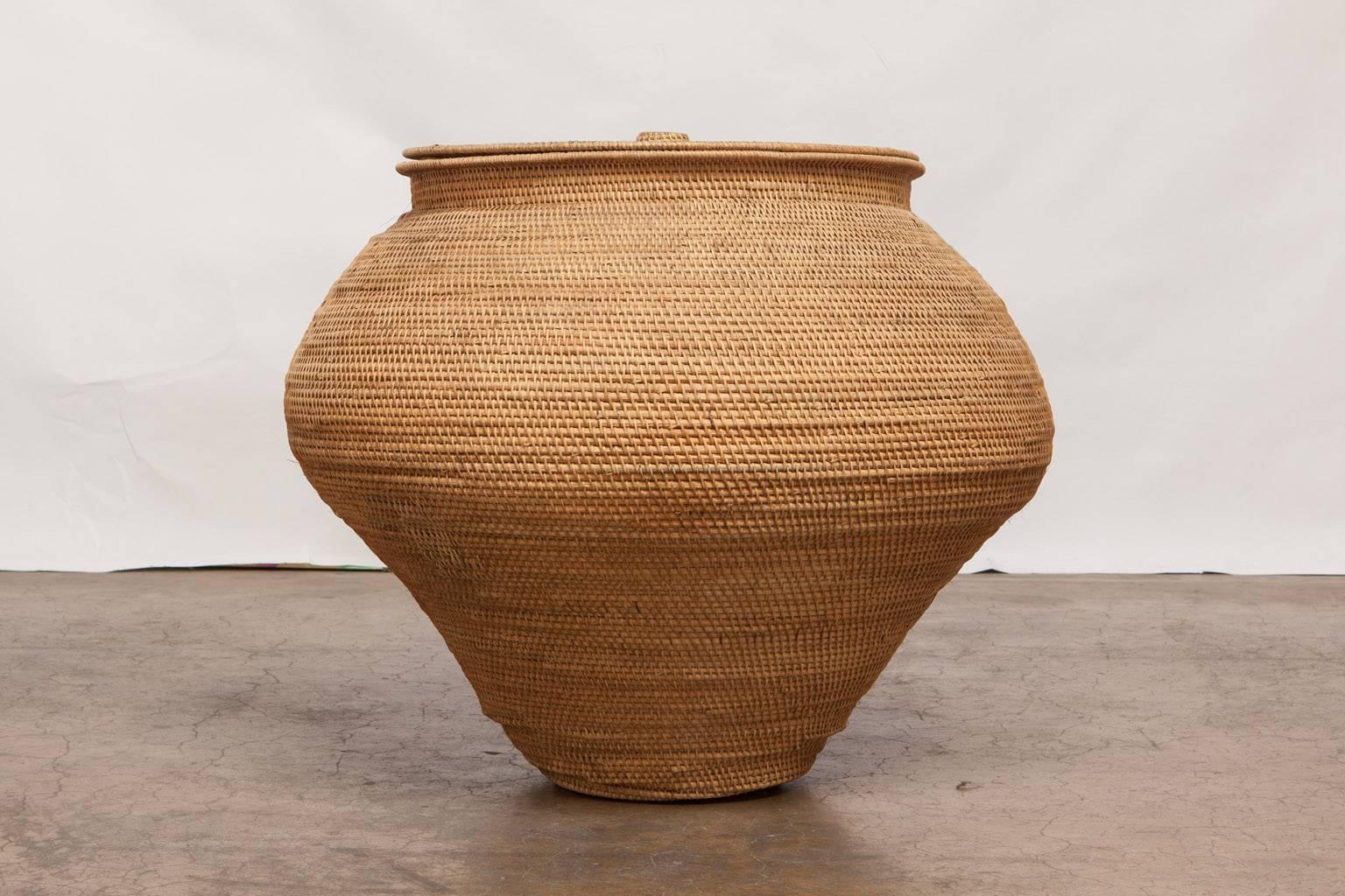 Monumental hand-woven rattan lidded basket made in an urn shape. Looks like an oversized snake charming basket that would make a great decorative piece.