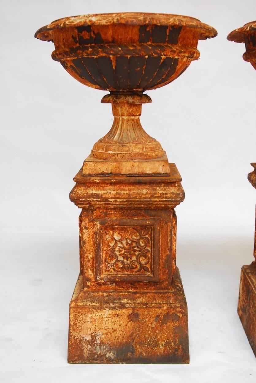Classic pair of French cast iron garden urns mounted on matching plinths or pedestals. The urns are decorated with an egg and dart design and the pedestals have a framed window on each side with a fleur-de-lis design. Both urns and pedestals have a