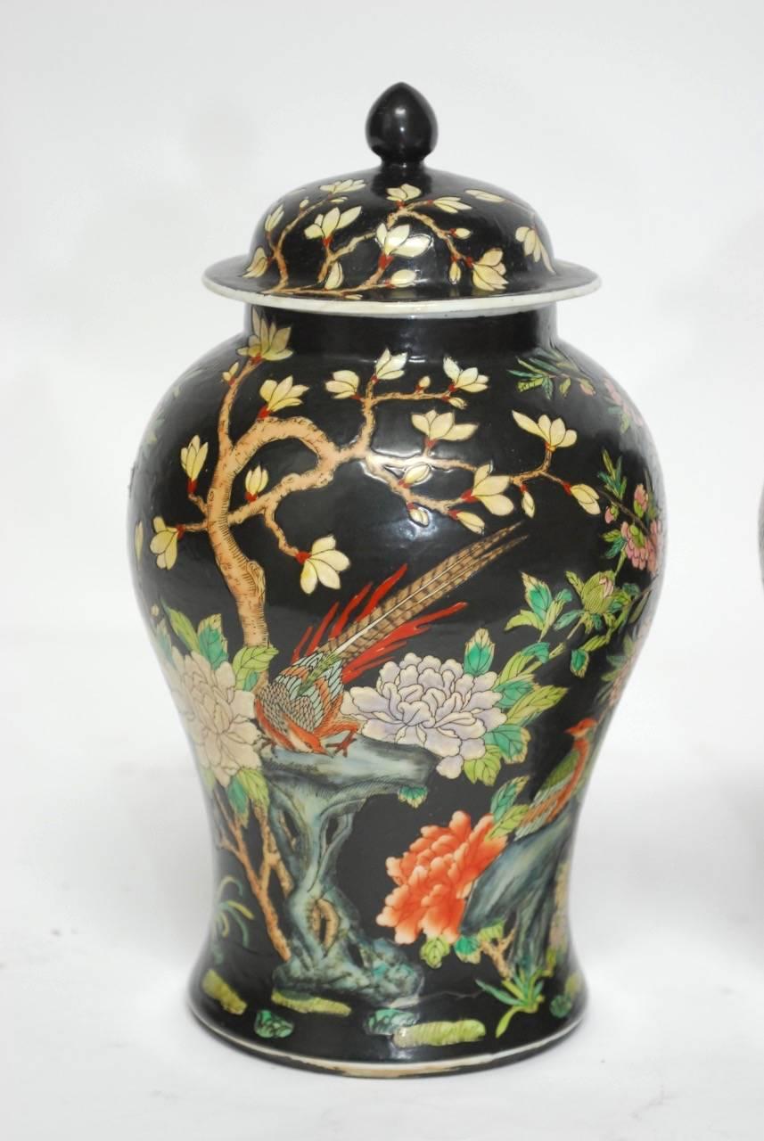 Colorful pair of Chinese famille noir ginger jars featuring a black background with an abundance of verte color foliage and brightly colored birds and flowers. Each jar has a Qianlong mark from Qing Dynasty, but probably later Chinese export. Rare