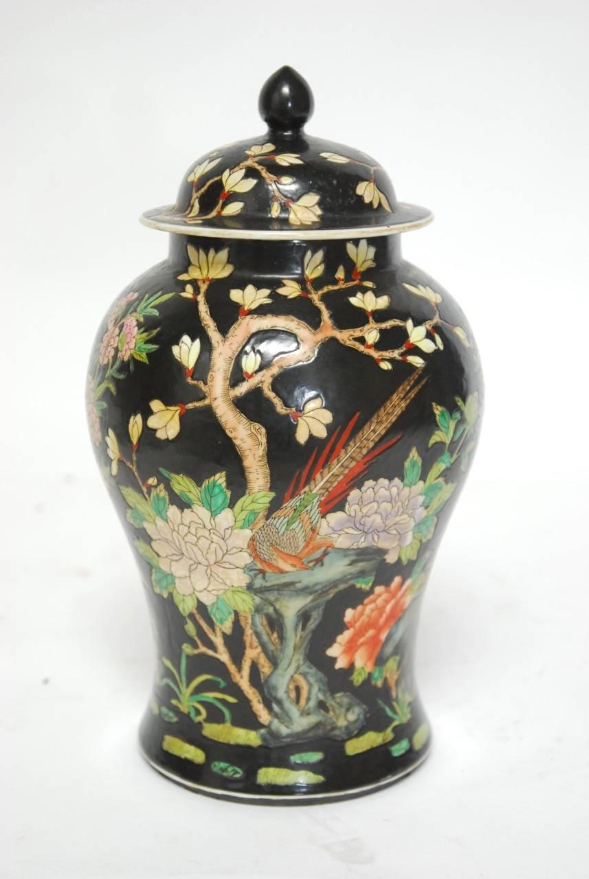 Qing Pair of Chinese Famille Noir Black Ginger Jars